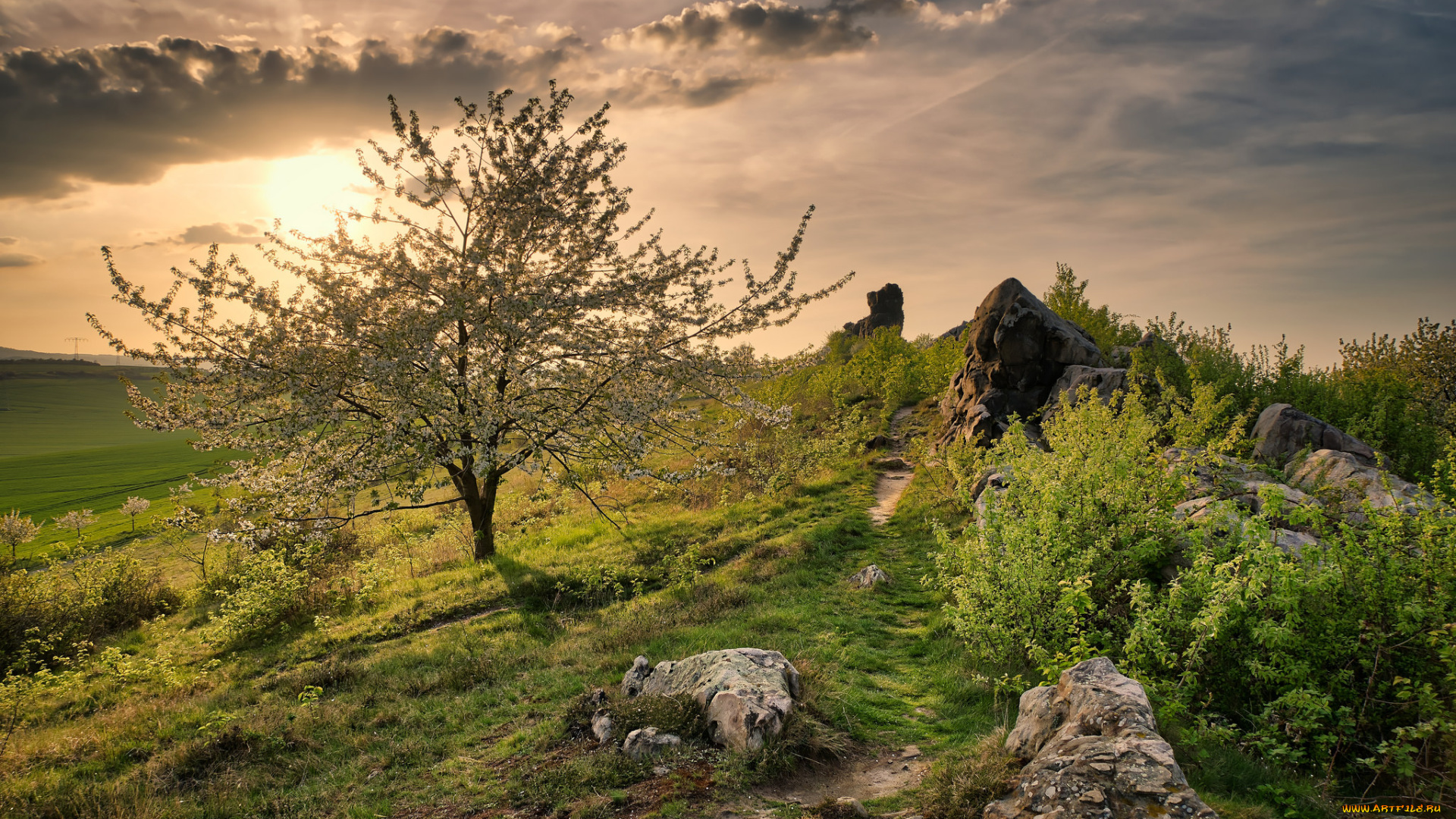 природа, пейзажи, простор