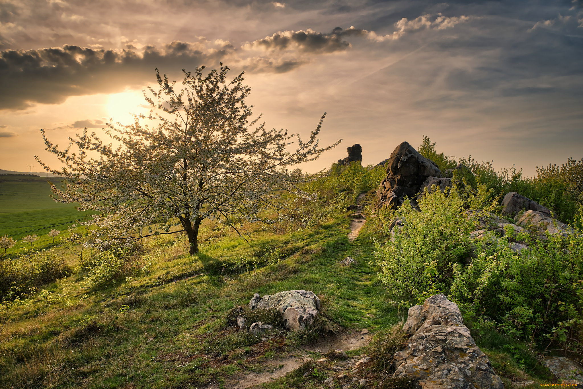 природа, пейзажи, простор