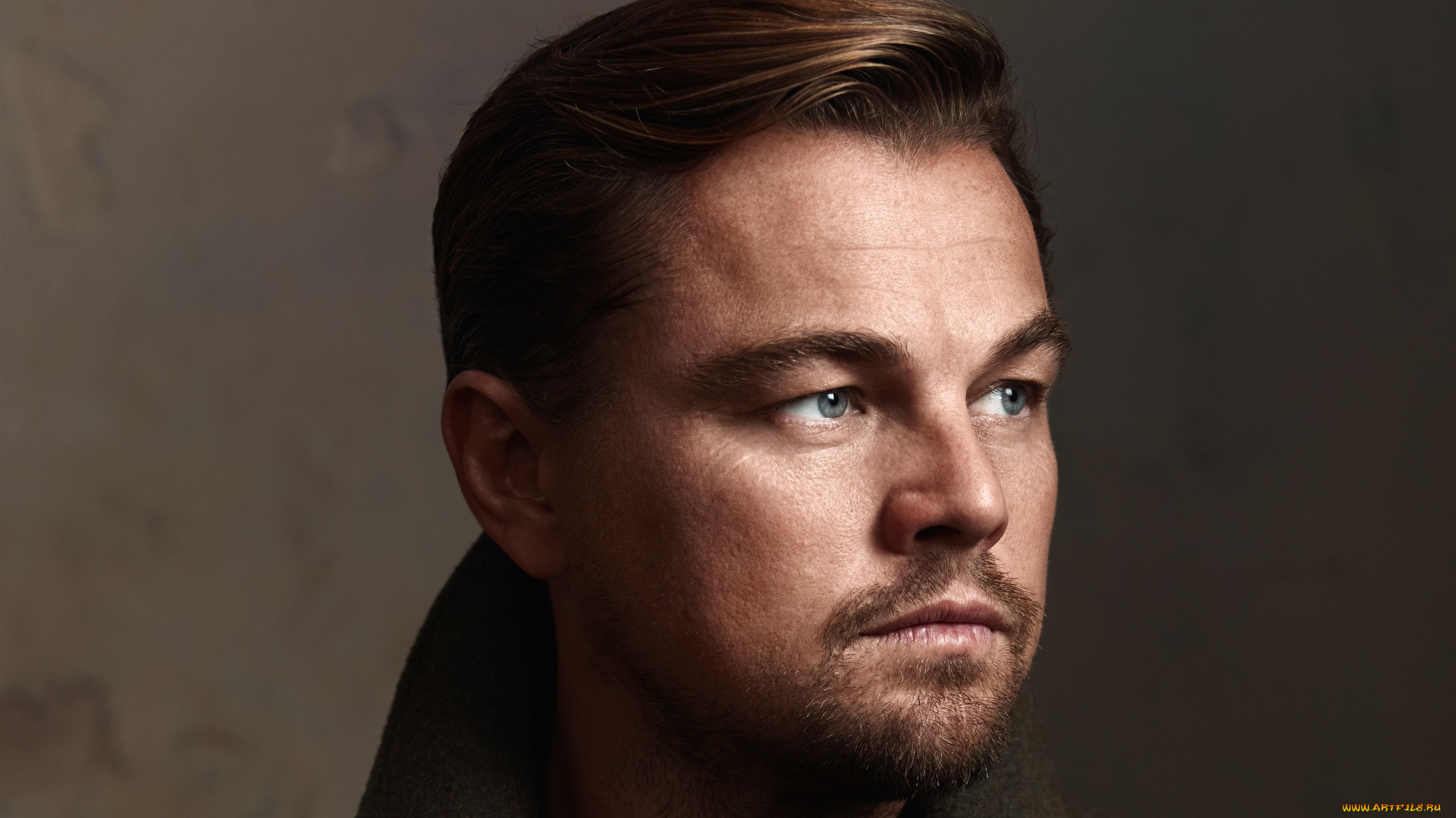 мужчины, leonardo, dicaprio, воротник, борода, лицо, актер