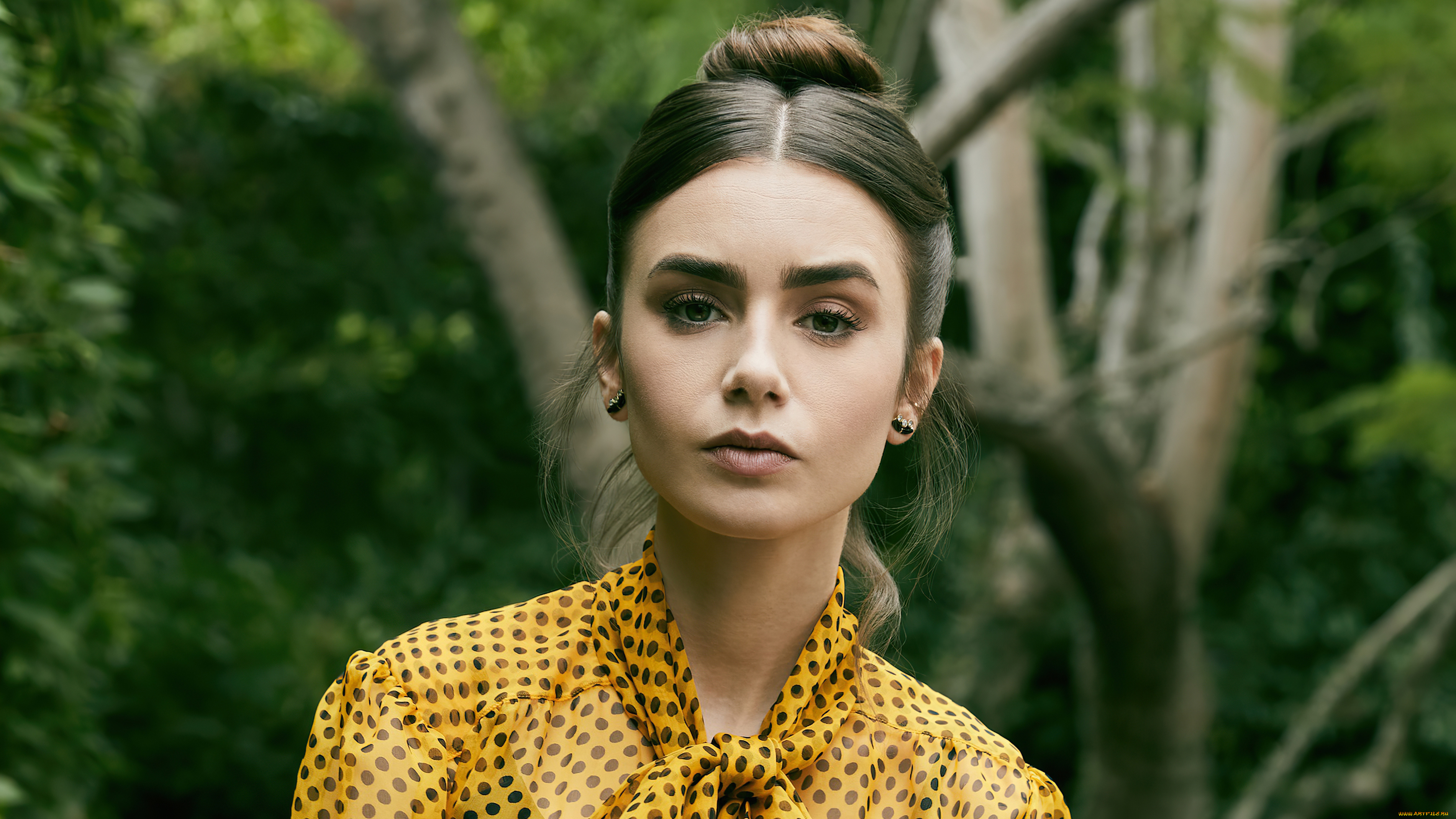 девушки, lily, collins, актриса, шатенка, лицо, блузка