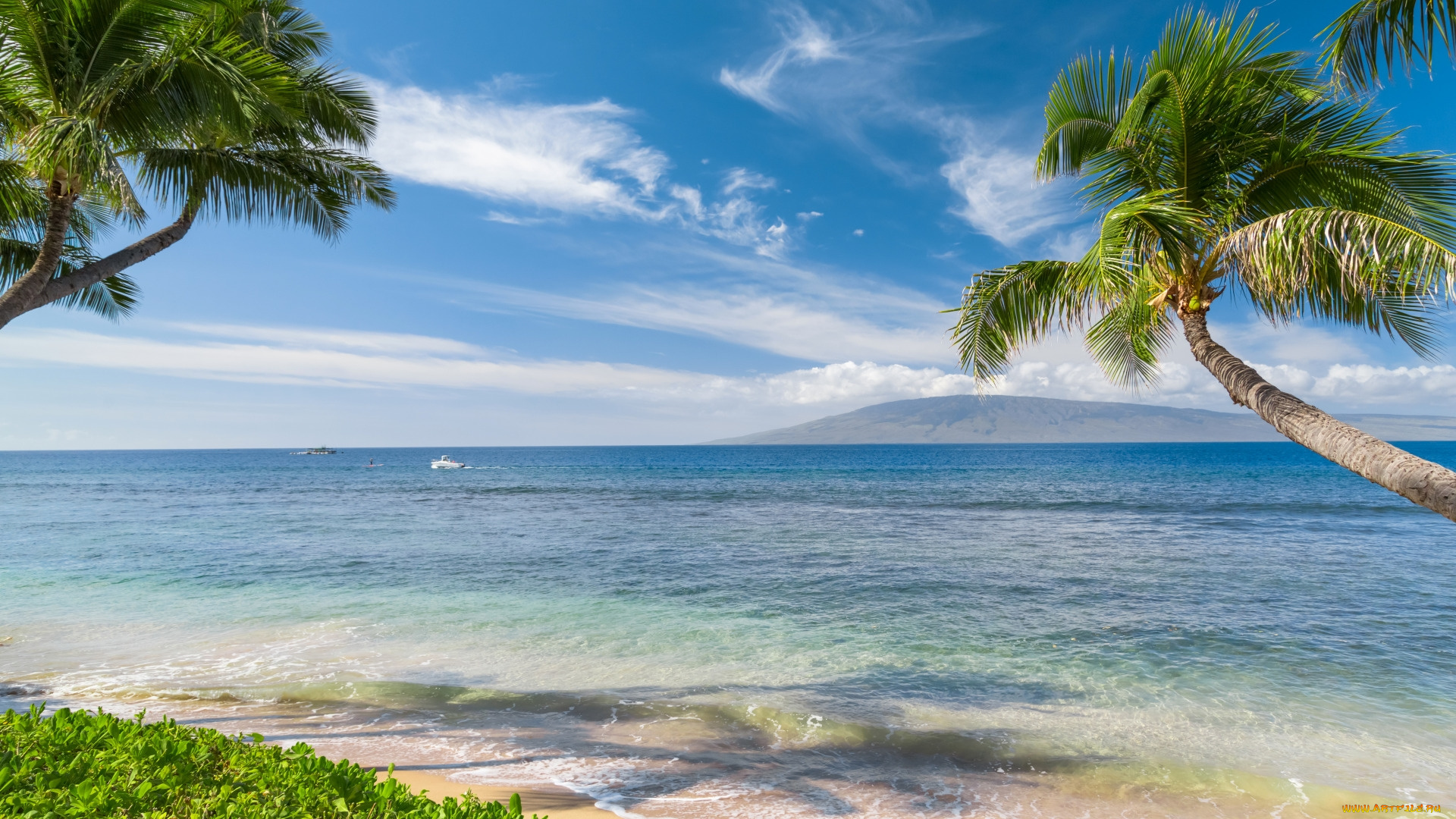 hawaiian, beach, природа, тропики, hawaiian, beach