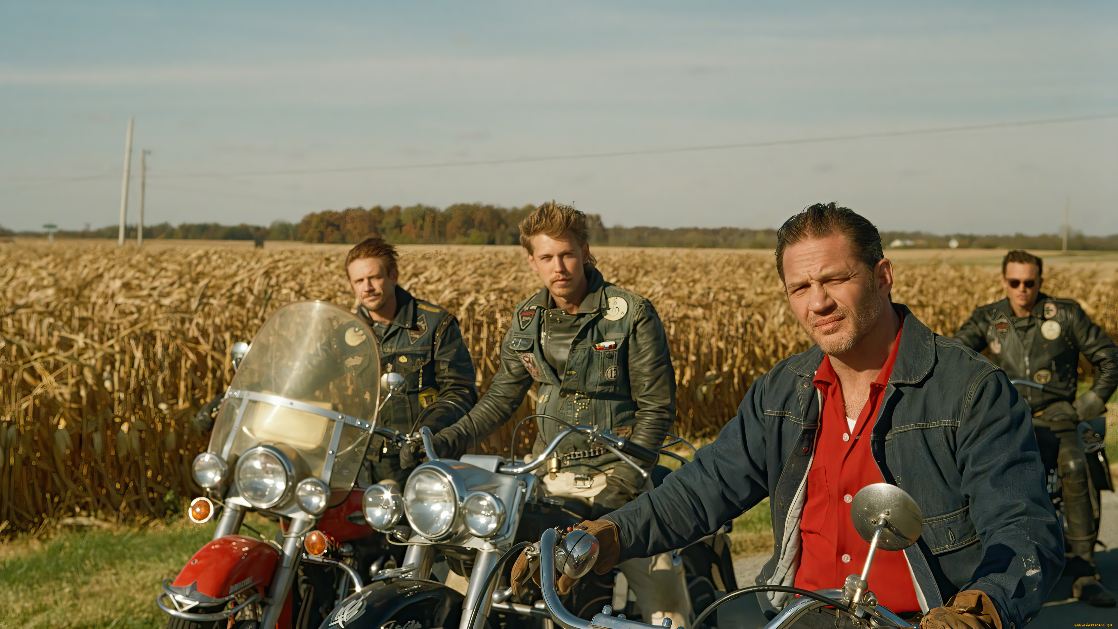 the, bikeriders, , 2023, кино, фильмы, the, bikeriders, the, bikeriders, tom, hardy, austin, butler, байкеры, драма, криминал