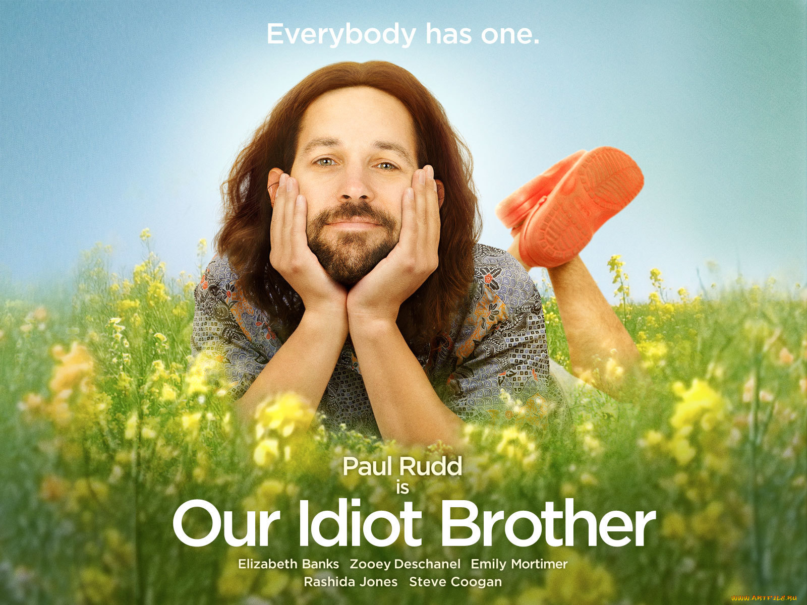 my, idiot, brother, кино, фильмы, paul, rudd