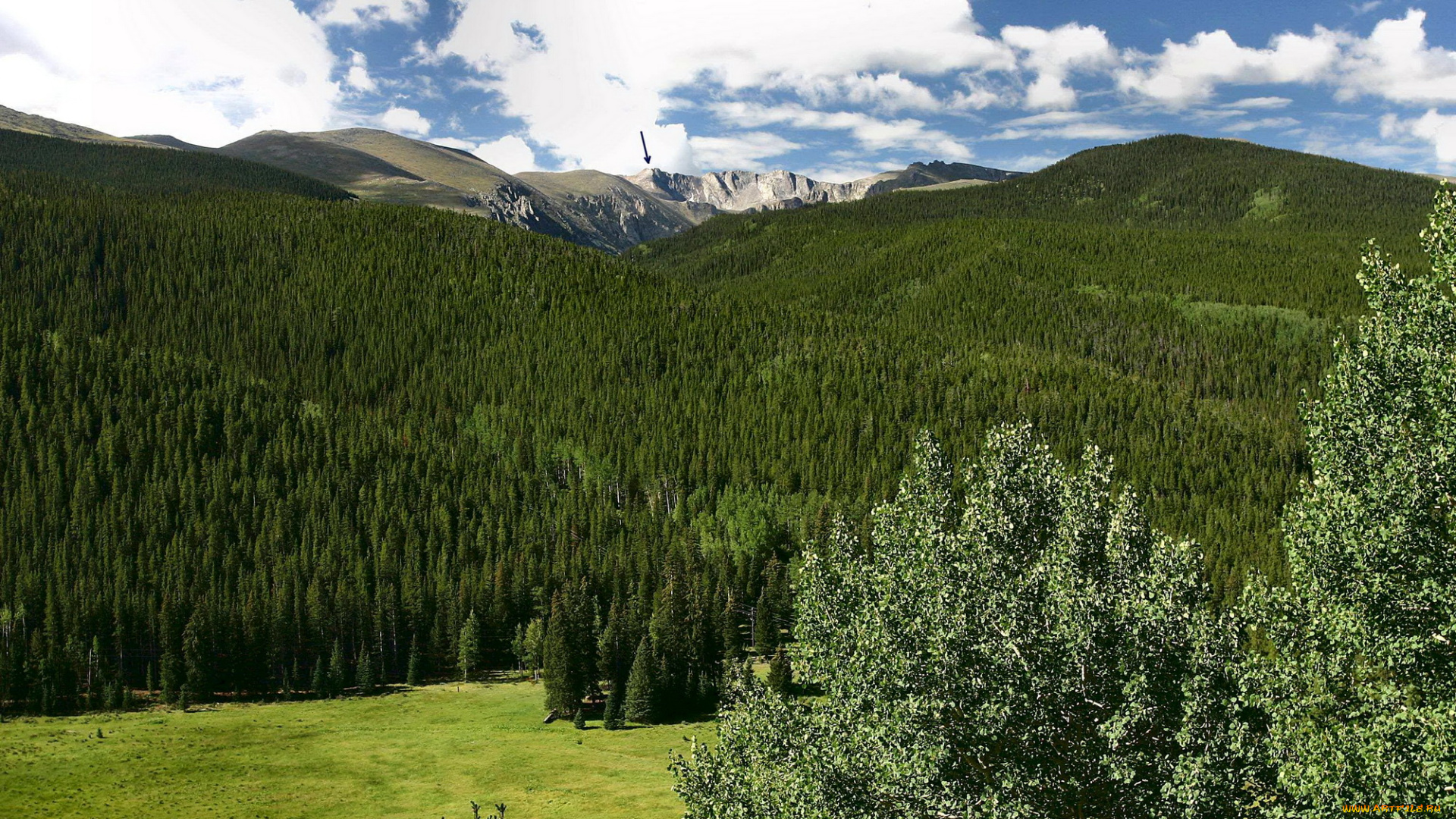 mount, evans, colorado, природа, горы