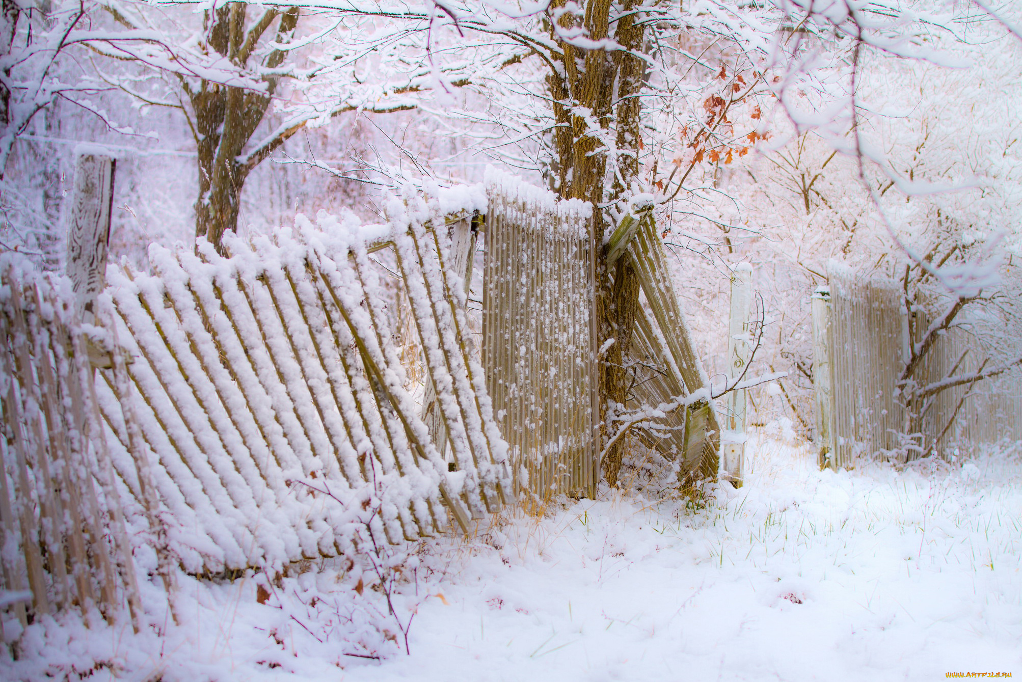 природа, зима, деревья, забор, снегопад, снег