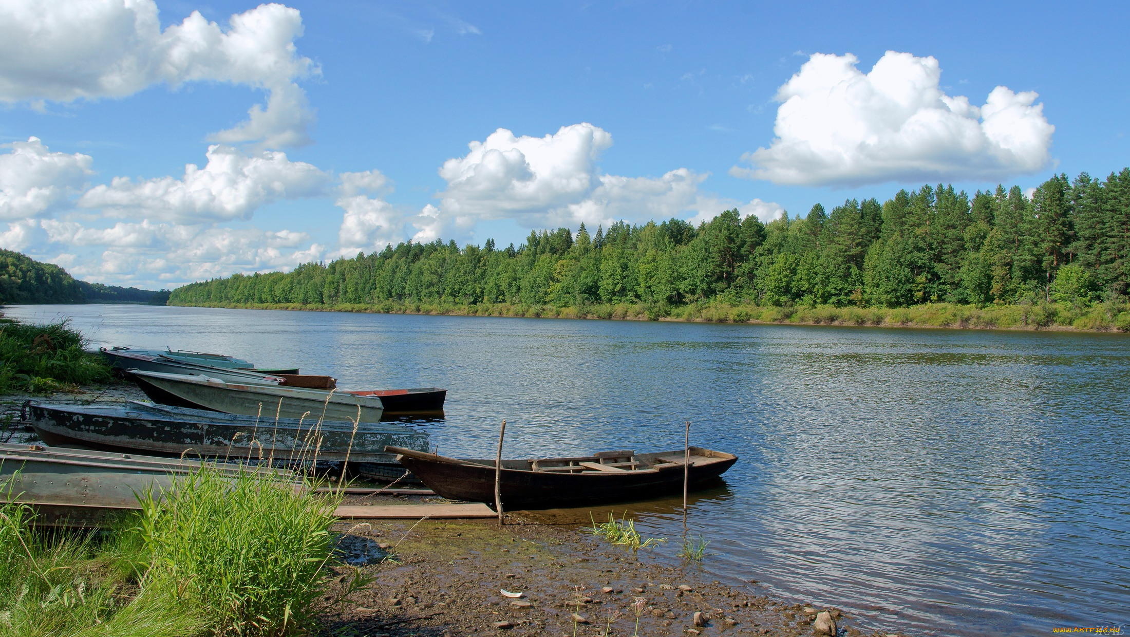 Берег ветлуги