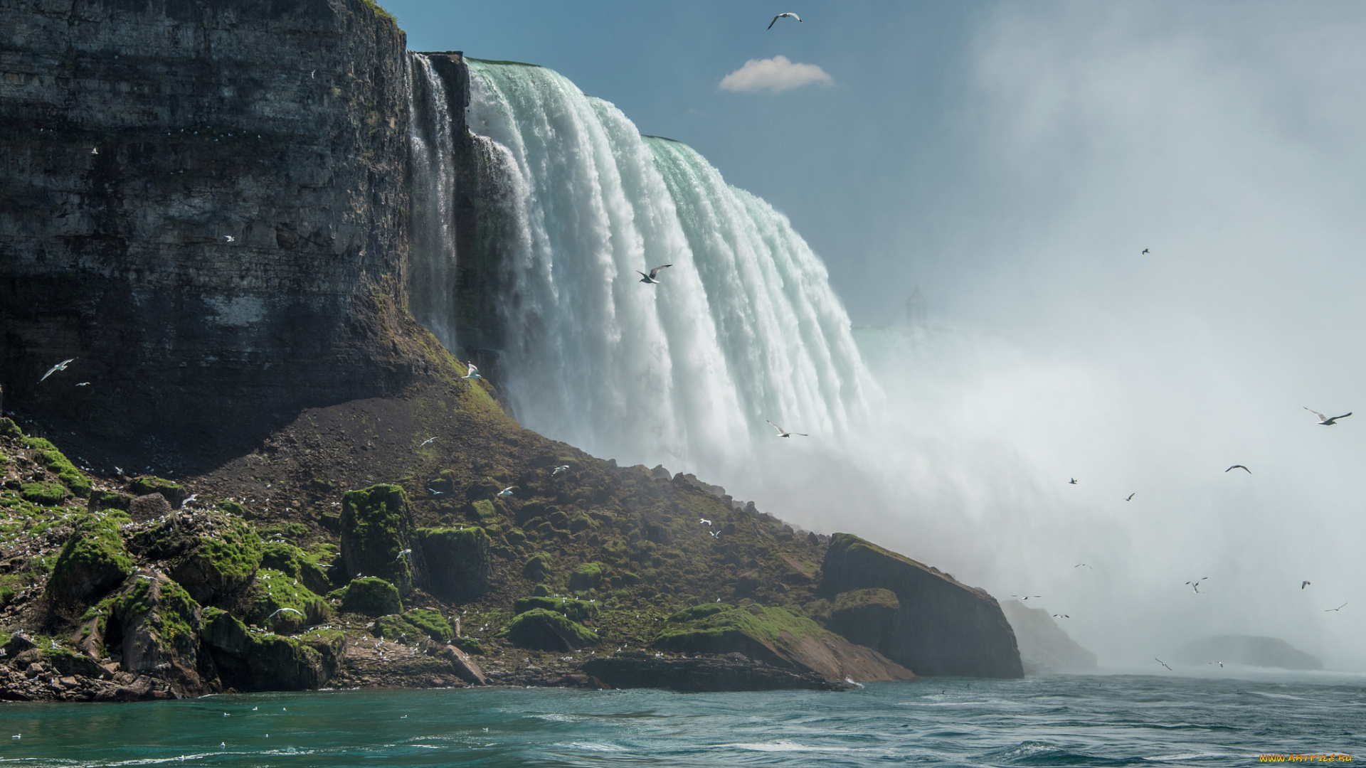 niagara, природа, водопады, лес, река, водопад