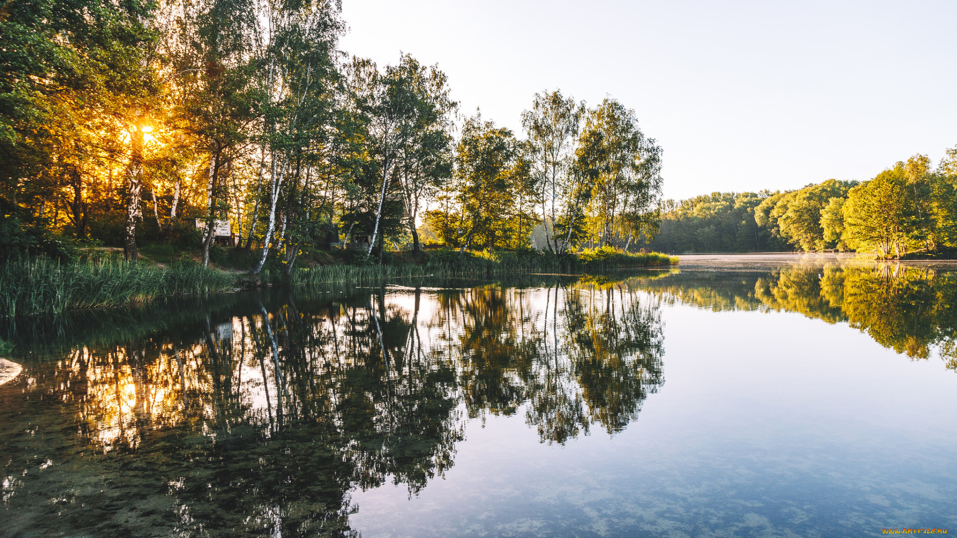 природа, реки, озера, озеро