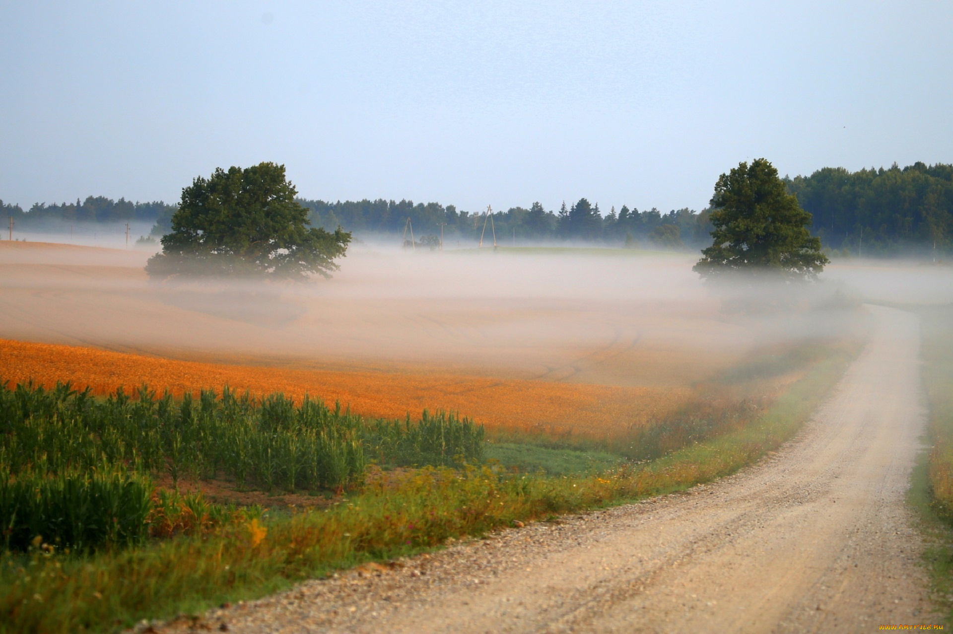 природа, дороги, осень, dzintra, zvagina, туман, дорога