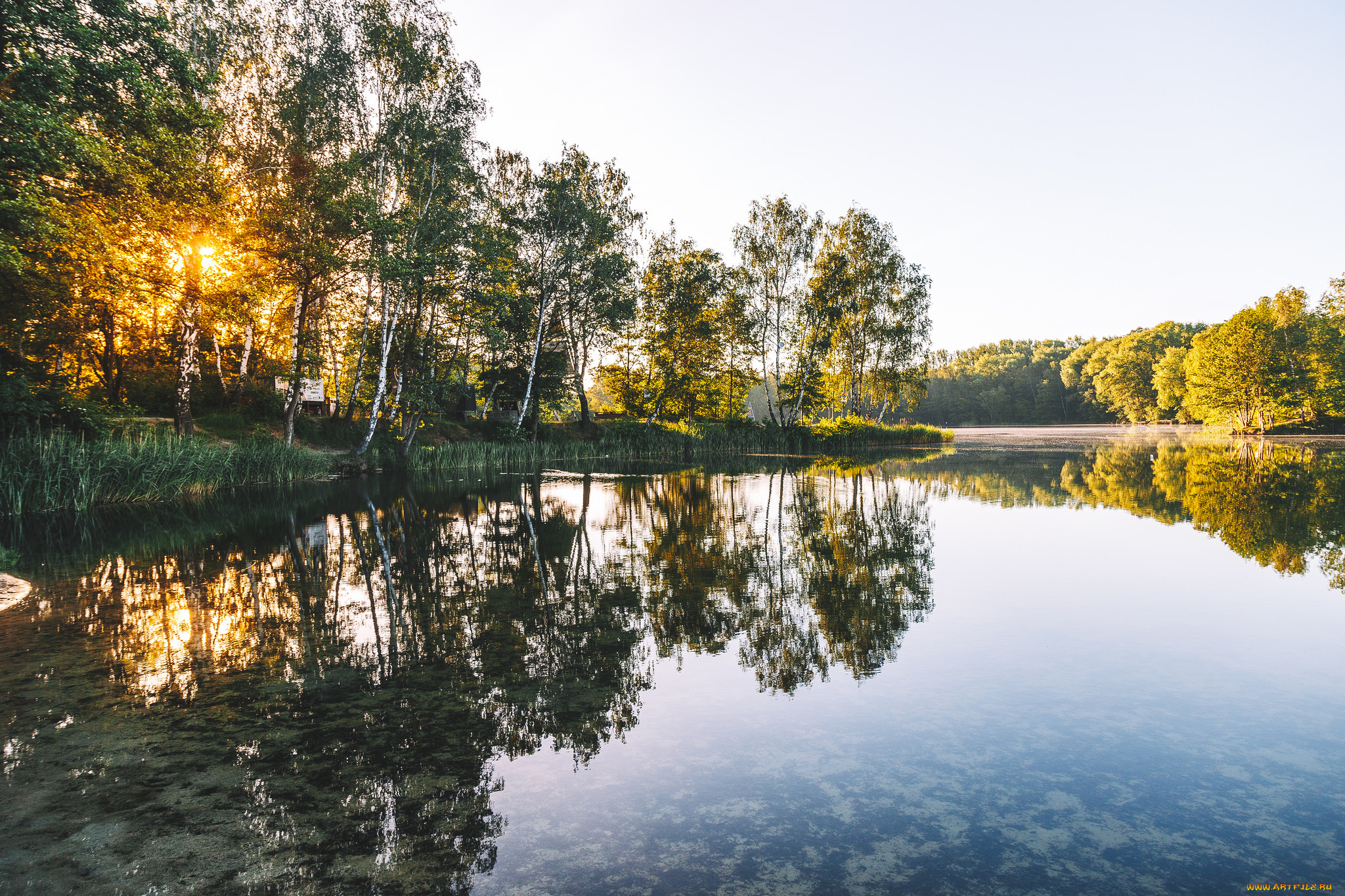 природа, реки, озера, озеро