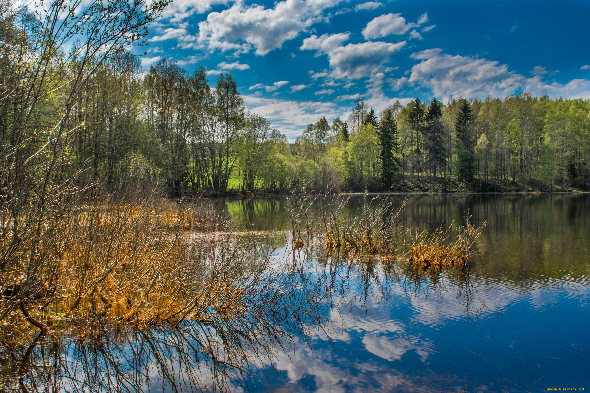 природа, реки, озера, простор