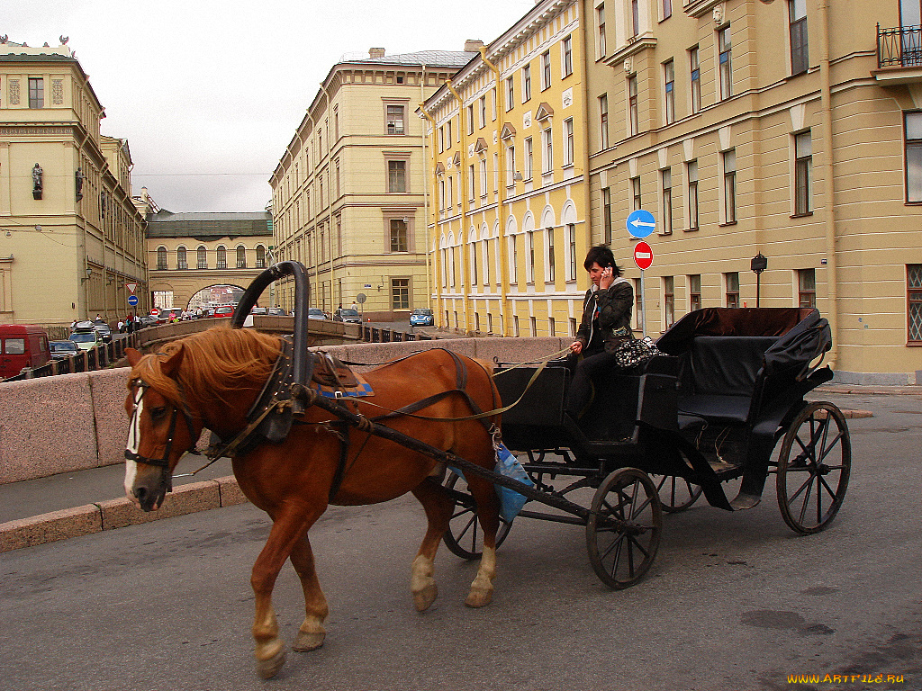 города, санкт, петербург, петергоф, россия