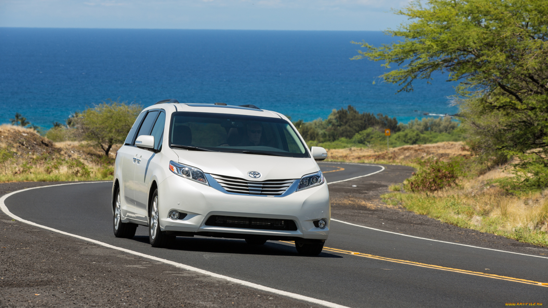 автомобили, toyota, светлый, sienna, 2015г