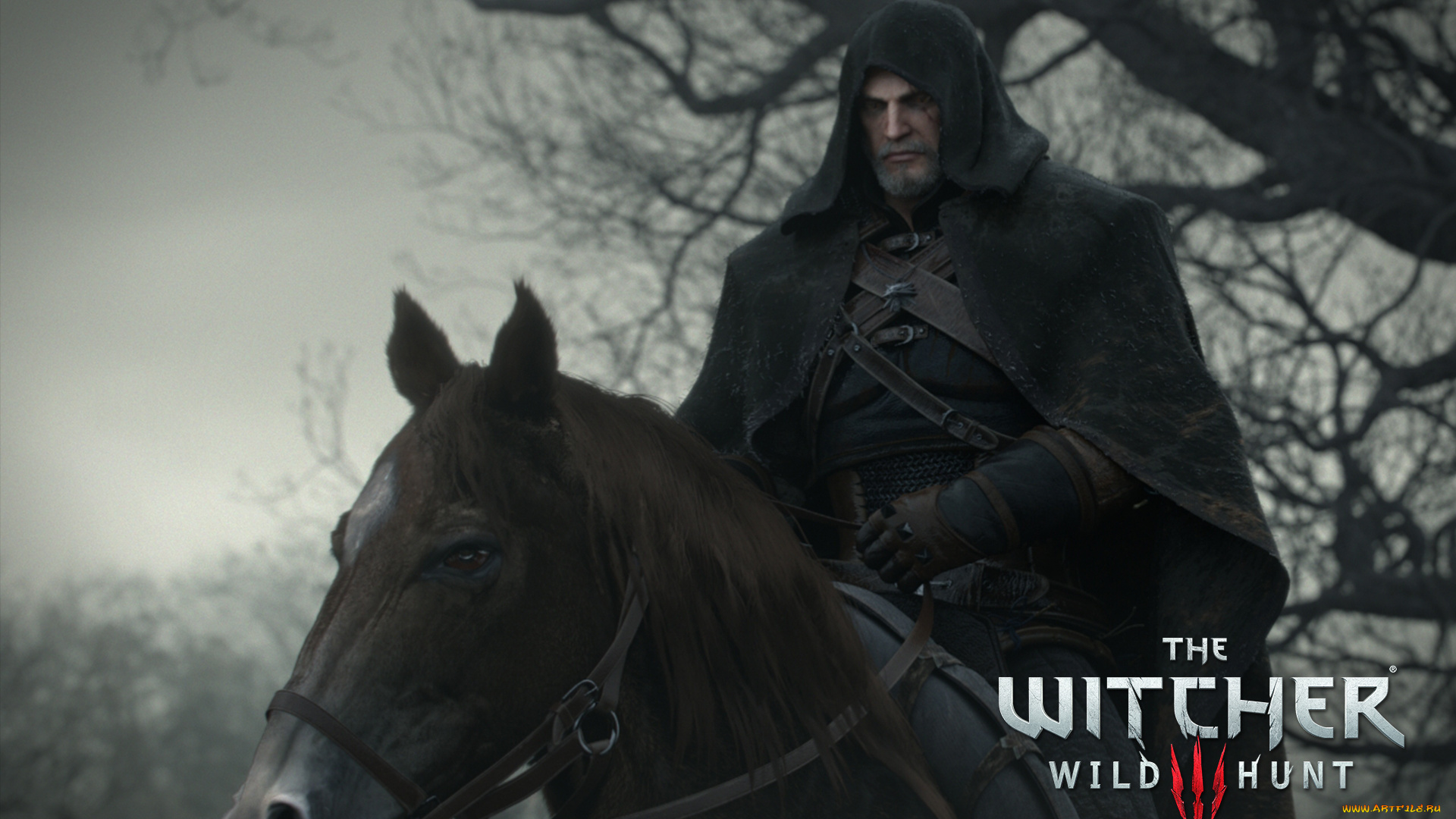 видео, игры, the, witcher, 3, , wild, hunt, the, witcher, action, фэнтези, 3, wild, hunt