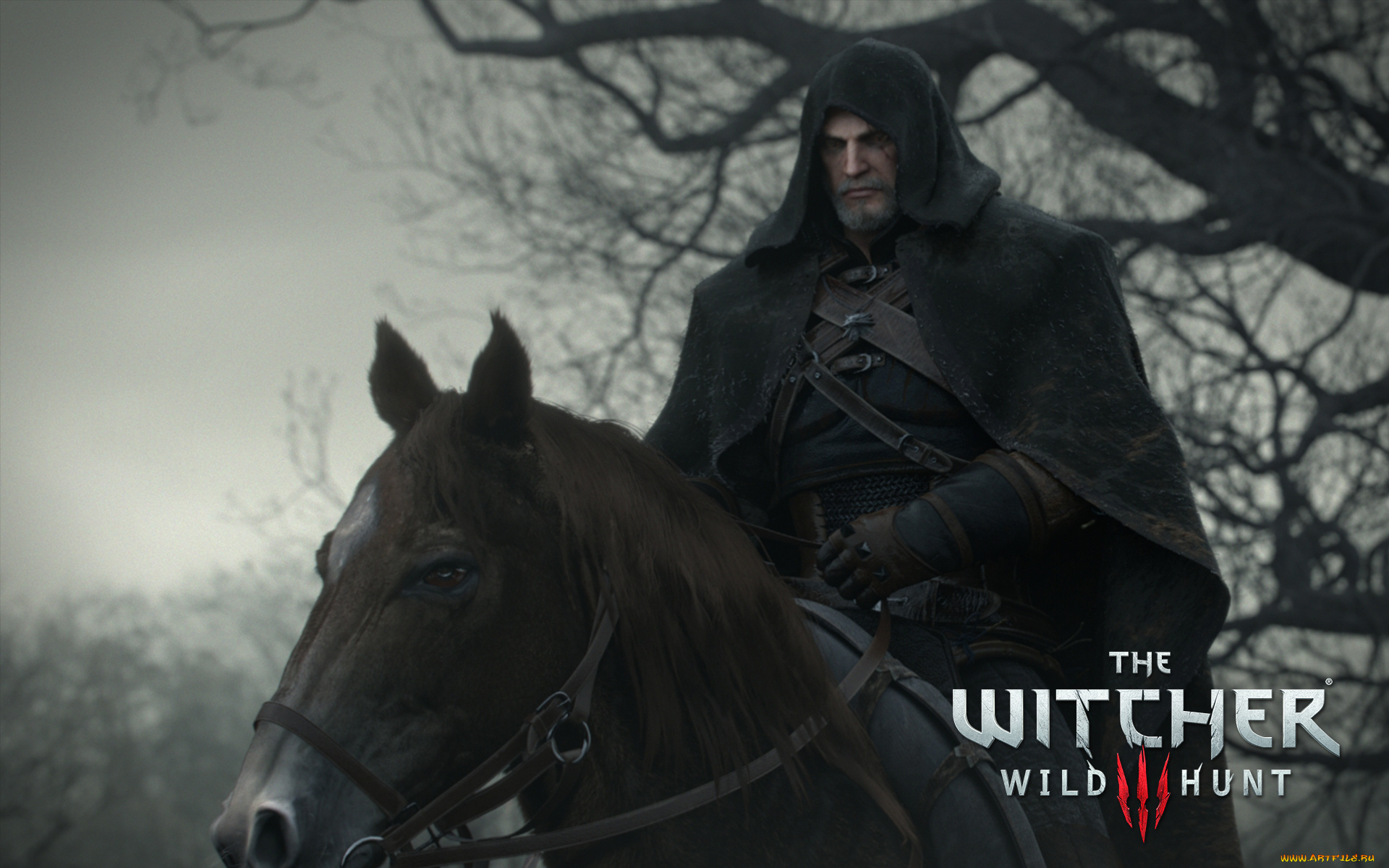 видео, игры, the, witcher, 3, , wild, hunt, the, witcher, action, фэнтези, 3, wild, hunt