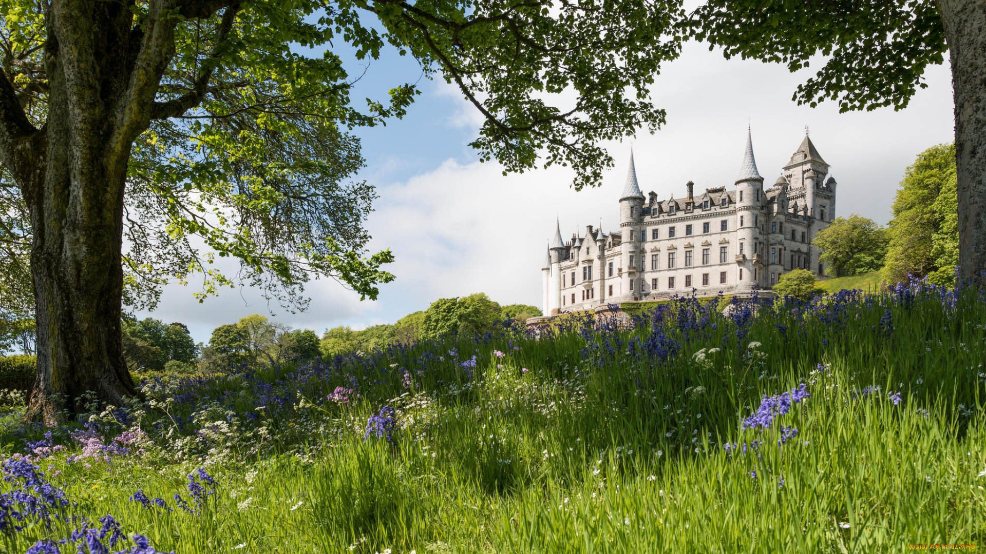 dunrobin, castle, города, -, дворцы, , замки, , крепости, замок, парк