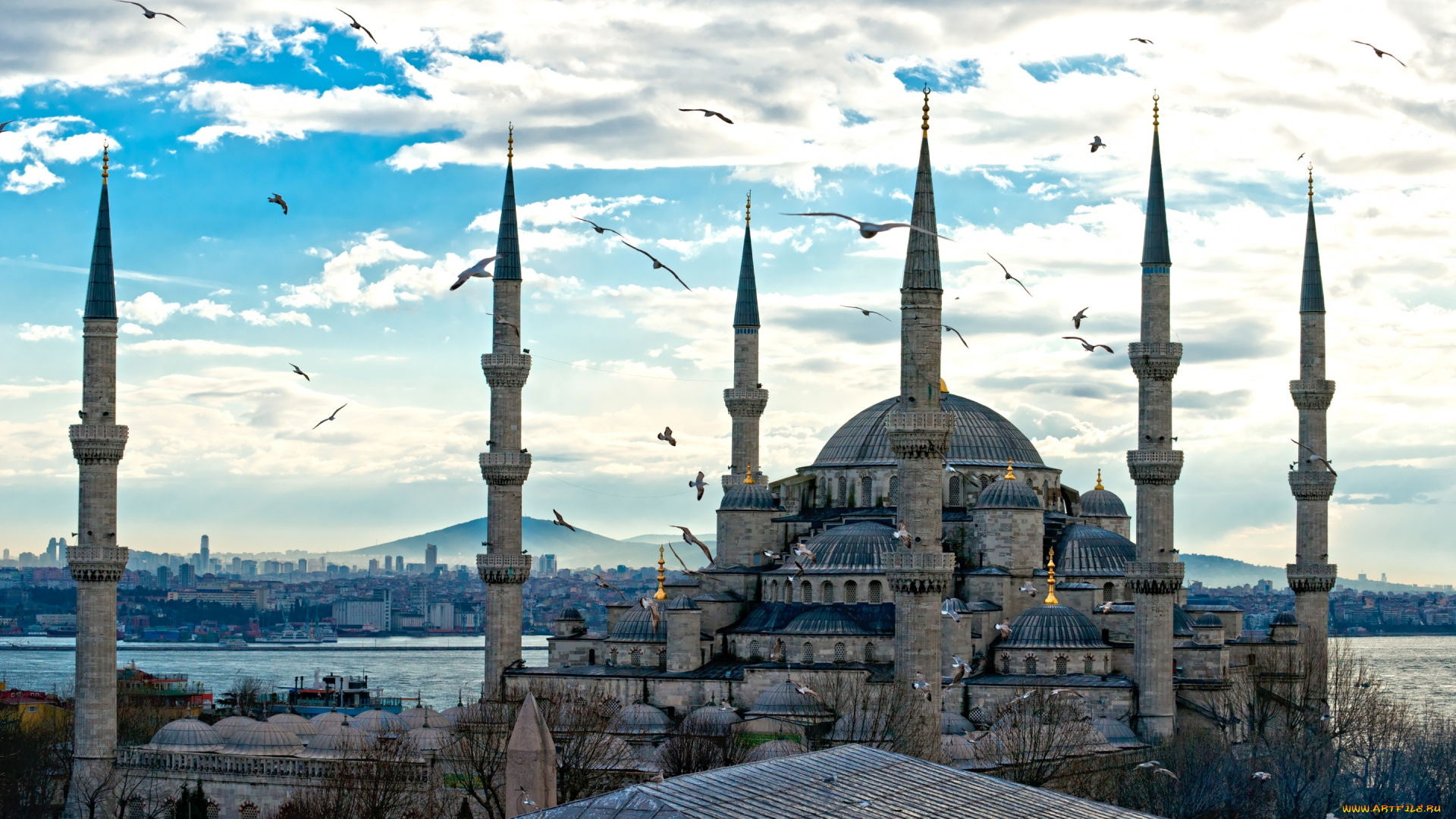 города, стамбул, , турция, башни, архитектура, дома, город, храм, istanbul, птицы, дворец, небо, река, облака