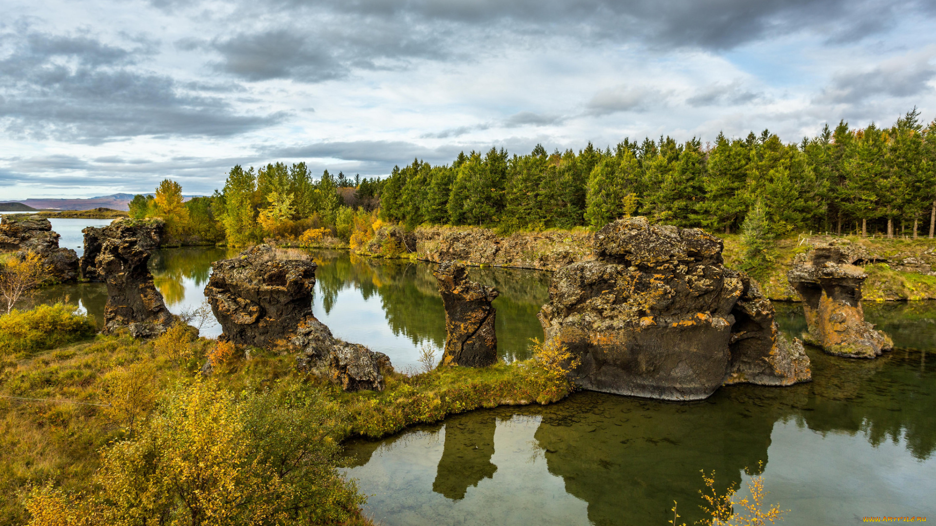 природа, реки, озера, лес, река