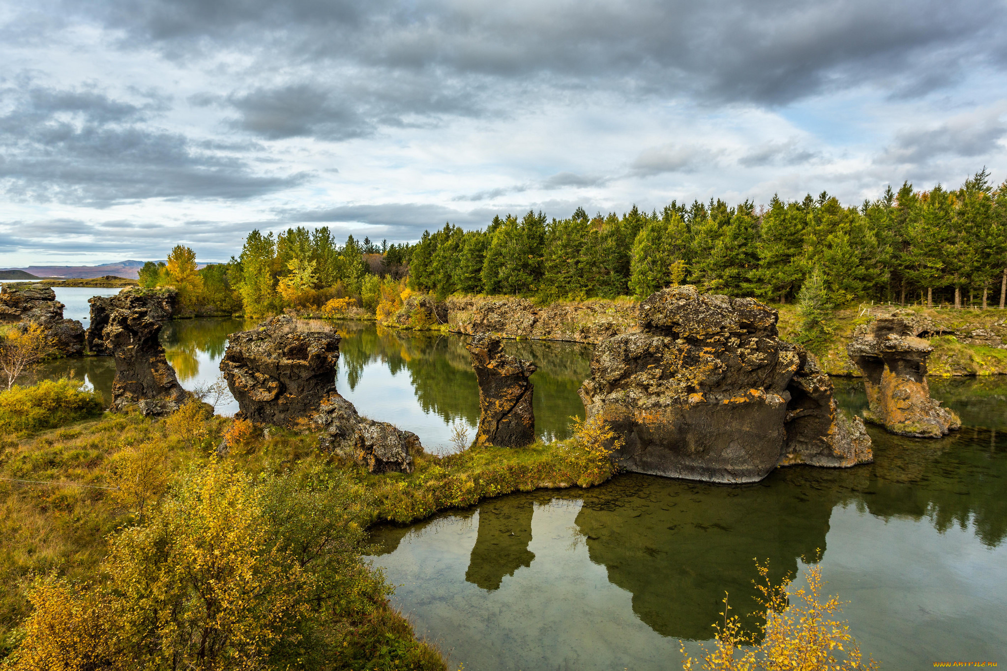 природа, реки, озера, лес, река