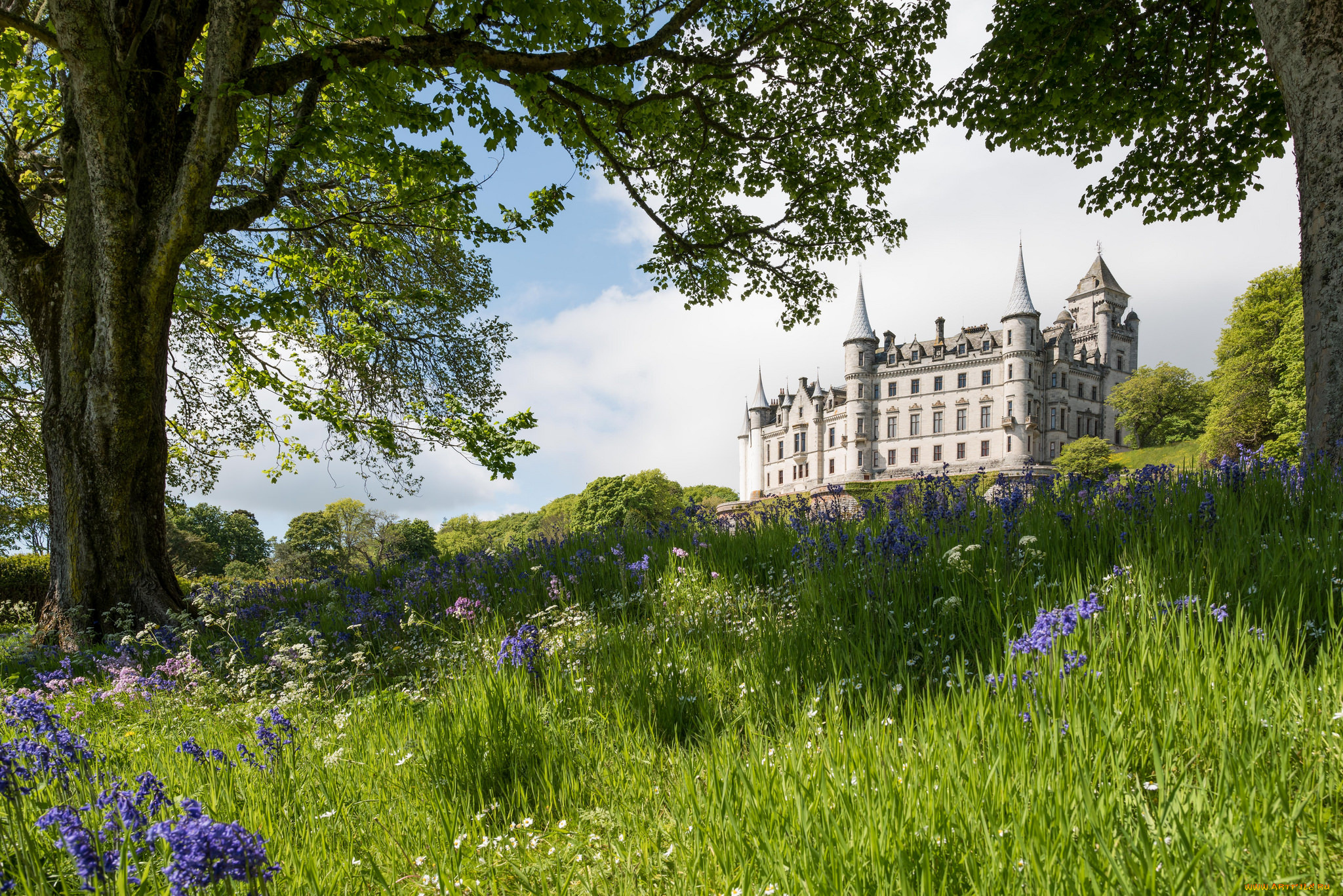 dunrobin, castle, города, -, дворцы, , замки, , крепости, замок, парк