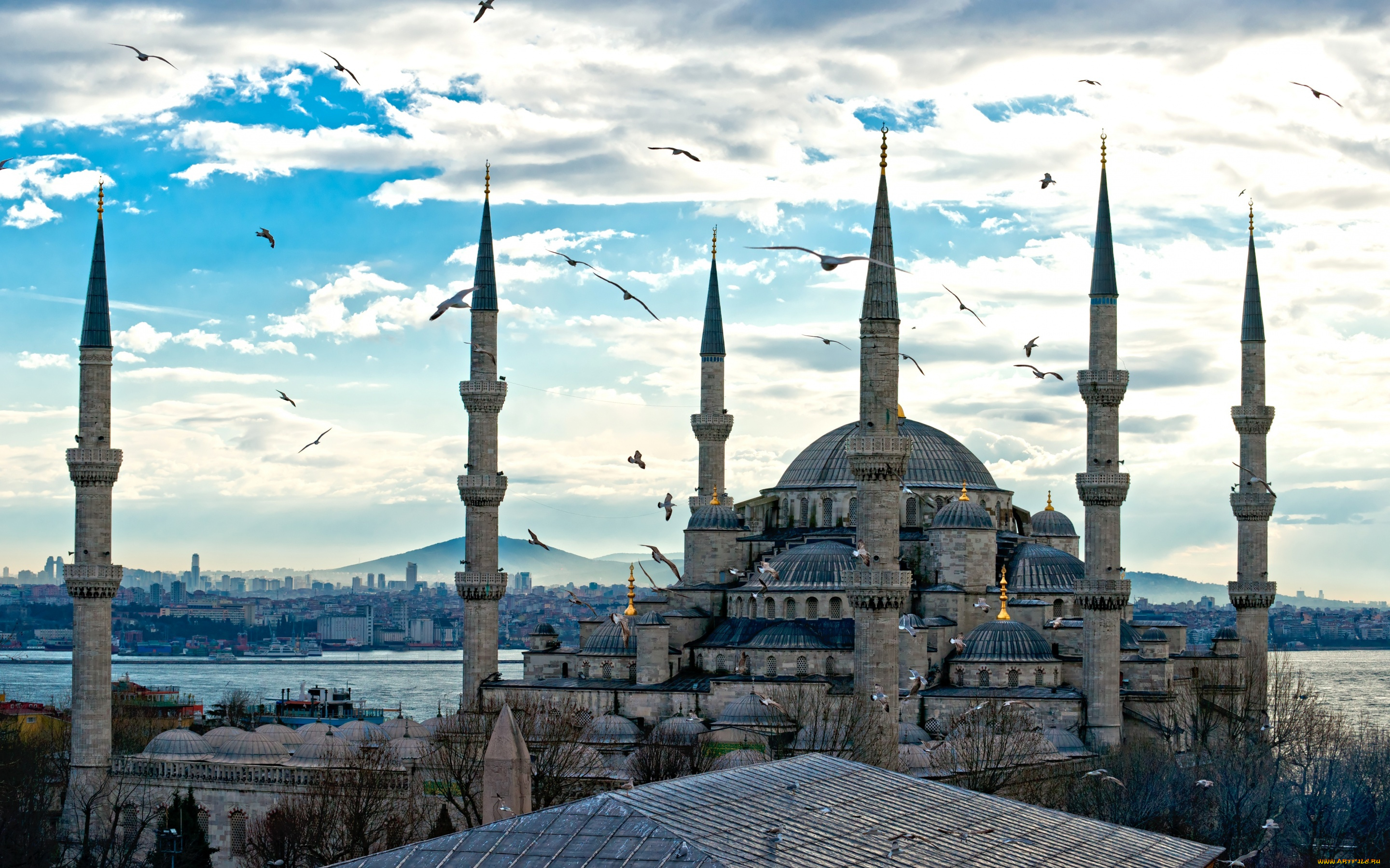 города, стамбул, , турция, башни, архитектура, дома, город, храм, istanbul, птицы, дворец, небо, река, облака