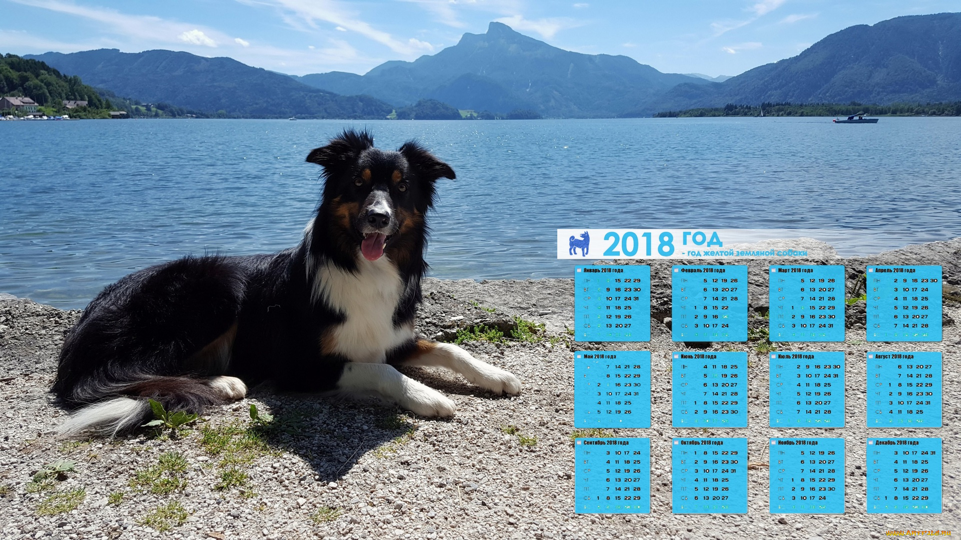 календари, животные, водоем, собака, лодка, гора