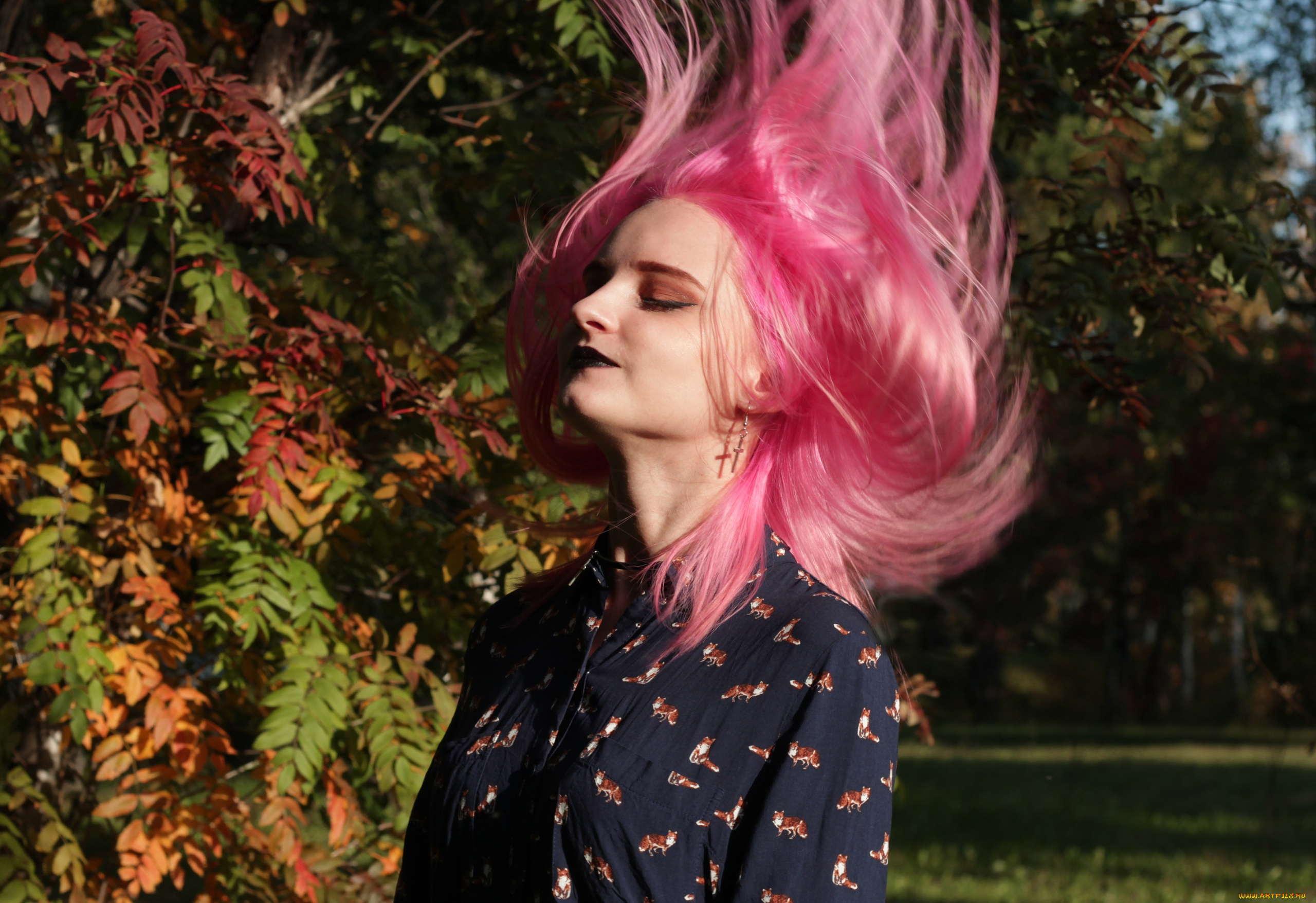девушки, kirdjava, розовые, волосы, блузка, осень, деревья