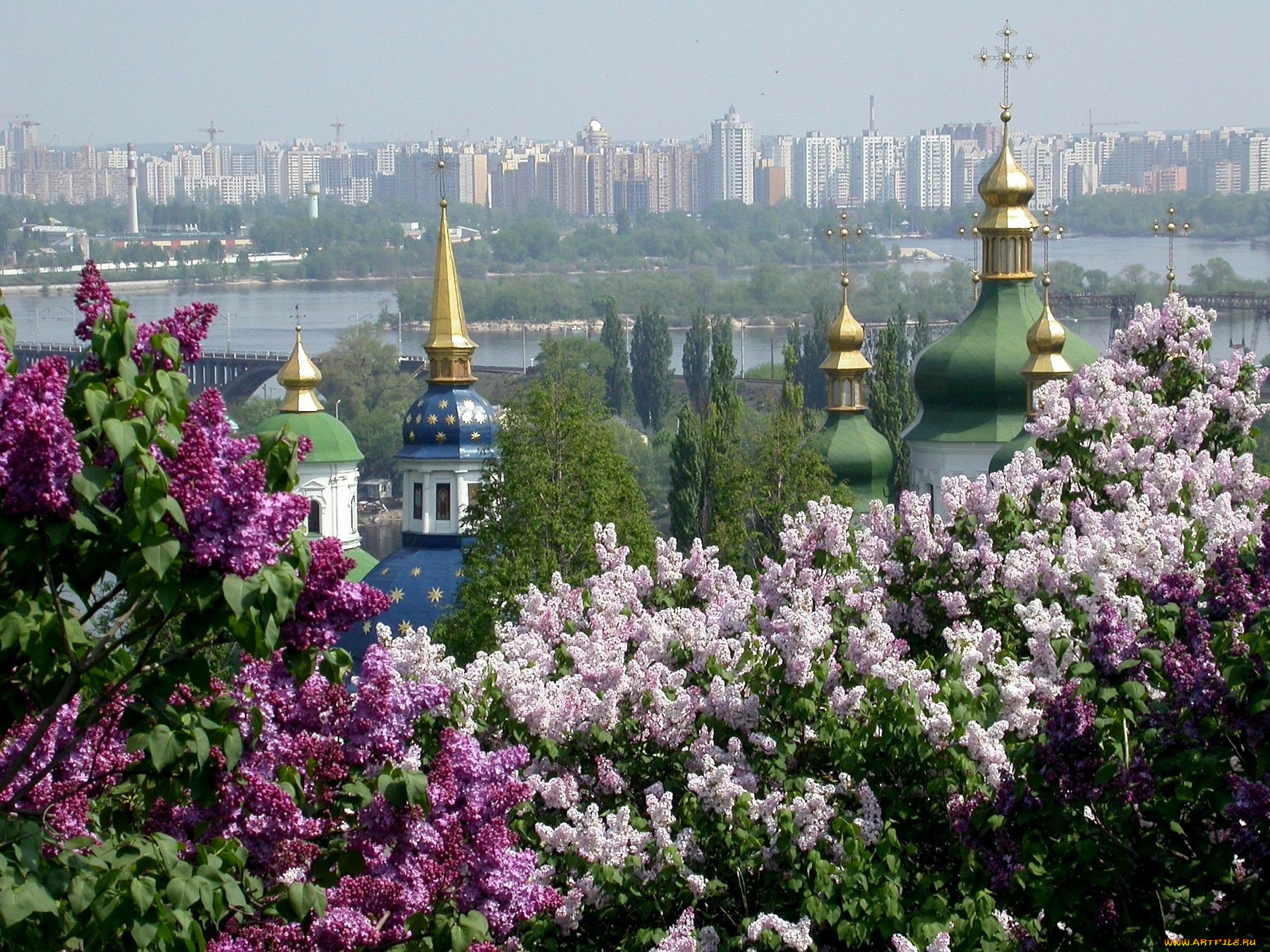 киев, города, украина, кресты, купола, сирень, дома