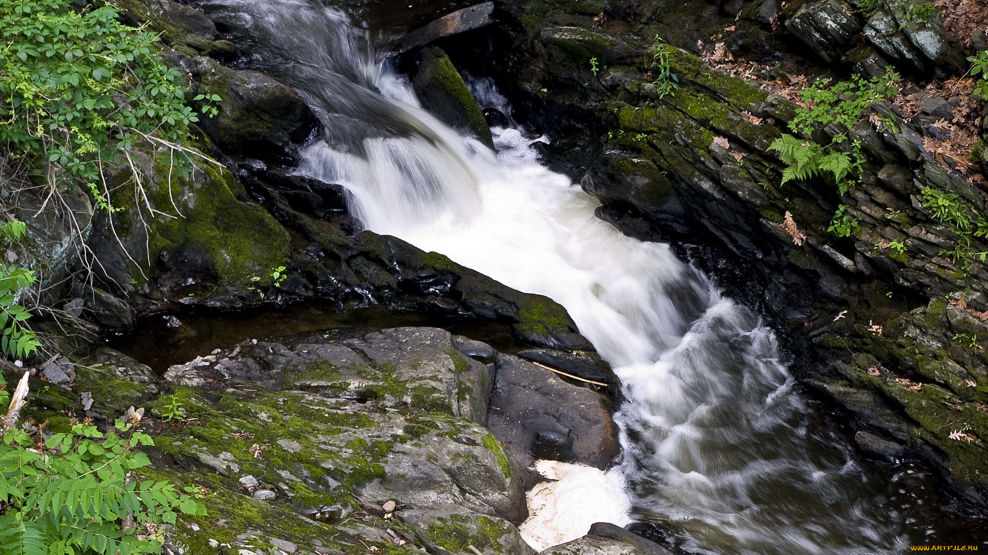 природа, реки, озера, вода, камни