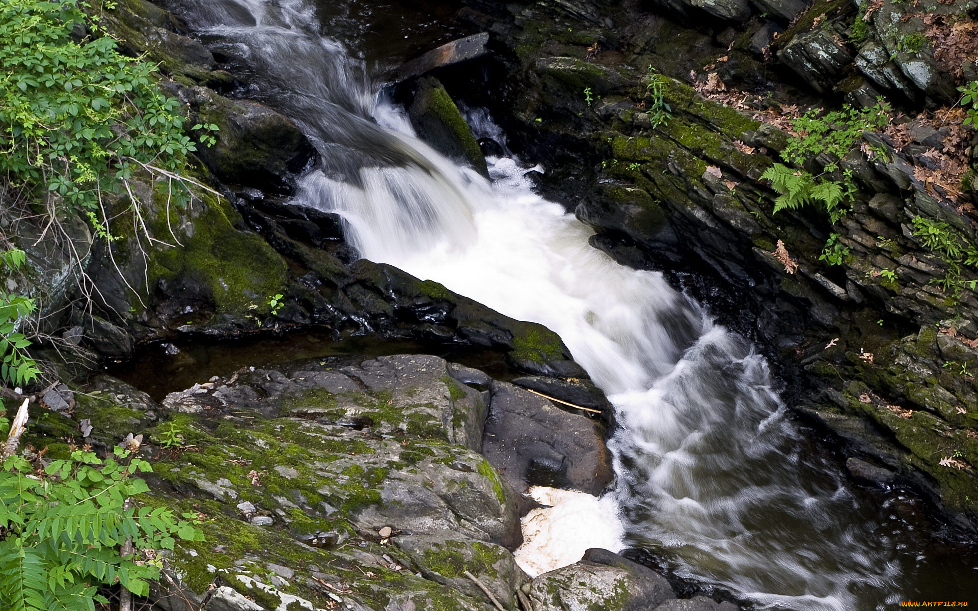 природа, реки, озера, вода, камни