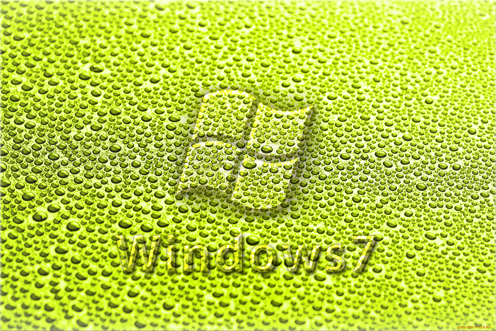 компьютеры, windows, vienna, зеленый, капли, фон, логотип