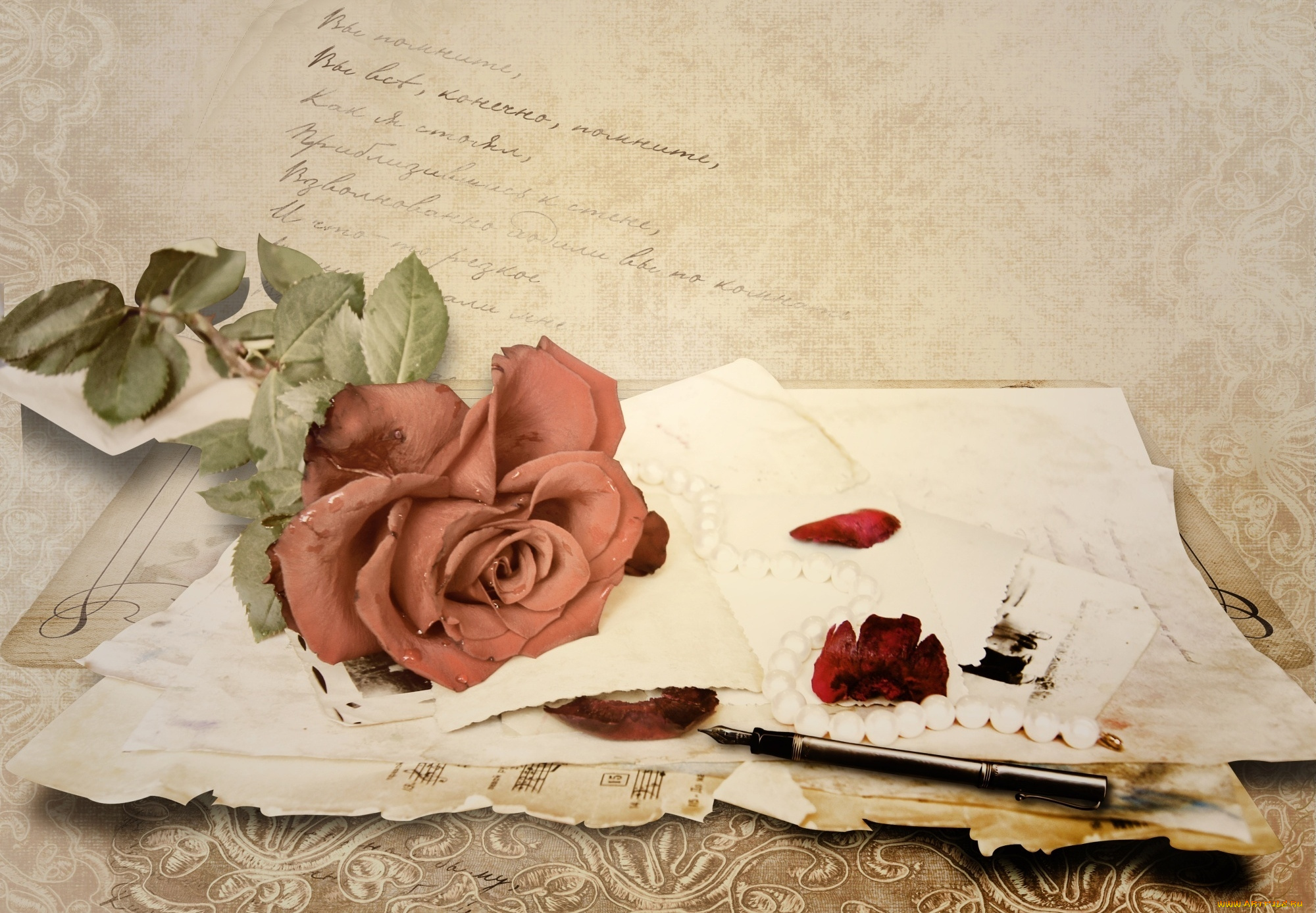цветы, розы, письма, винтаж, перо
