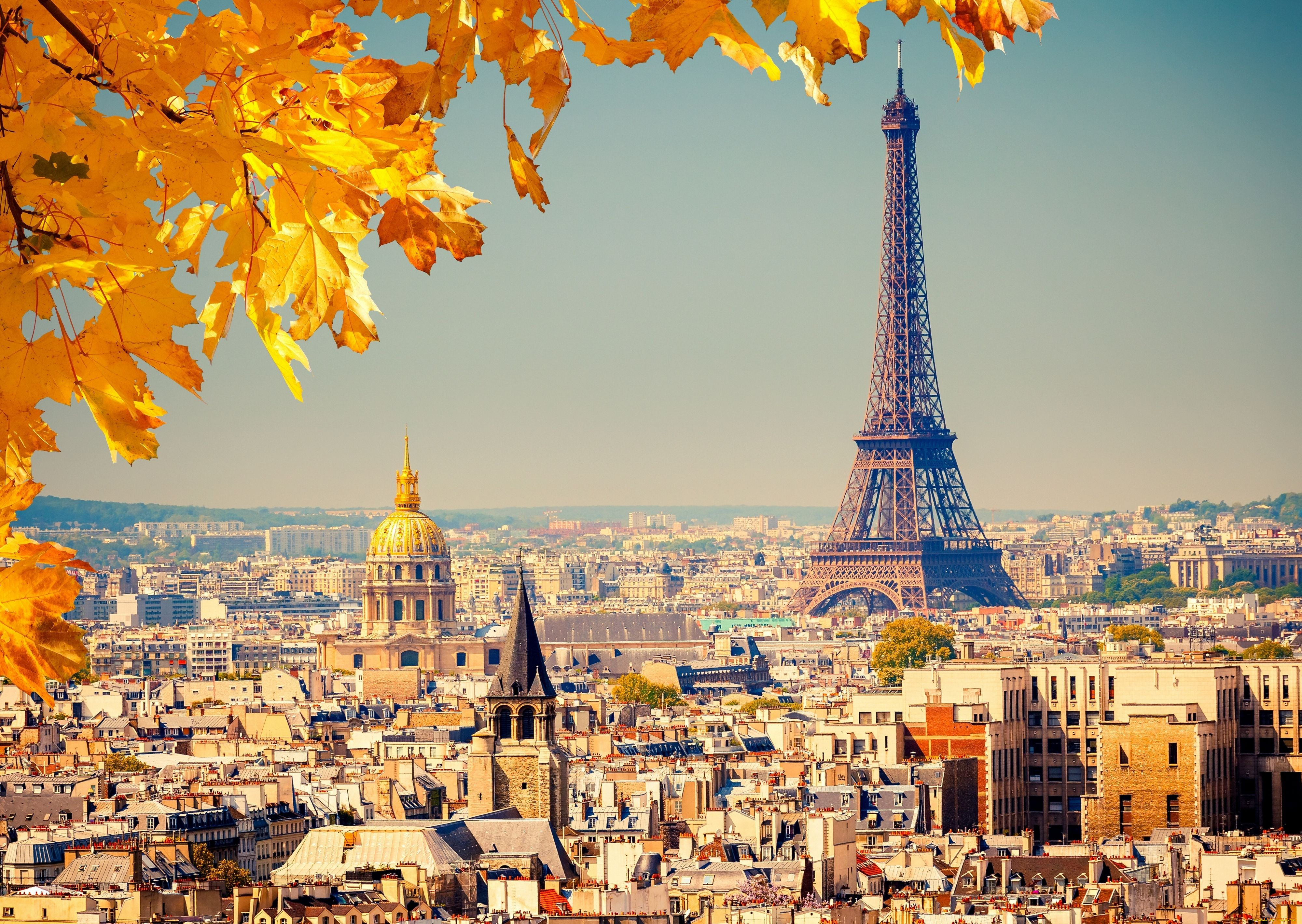 paris, france, города, париж, франция, листья, панорама, эйфелева, башня, eiffel, tower
