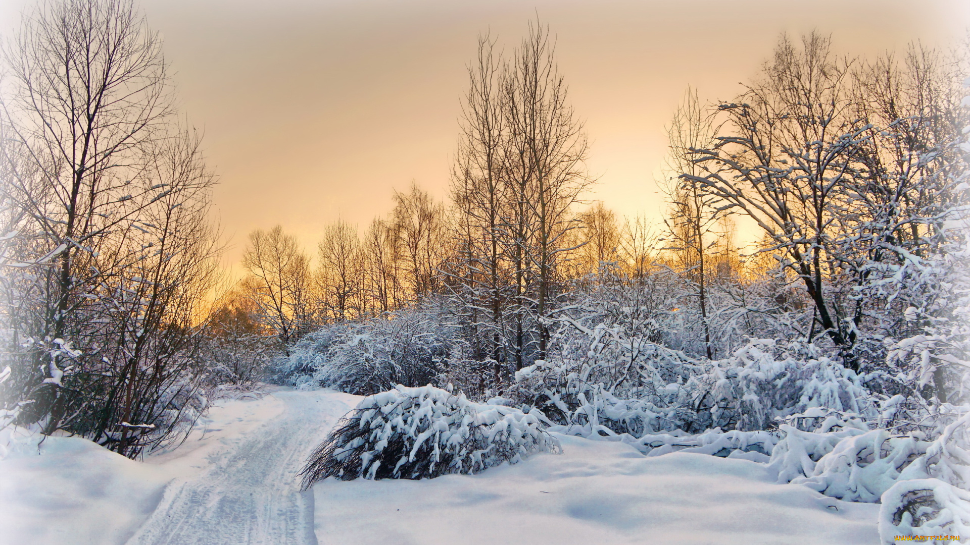 природа, зима, дорога, закат, пейзаж, снег, деревня