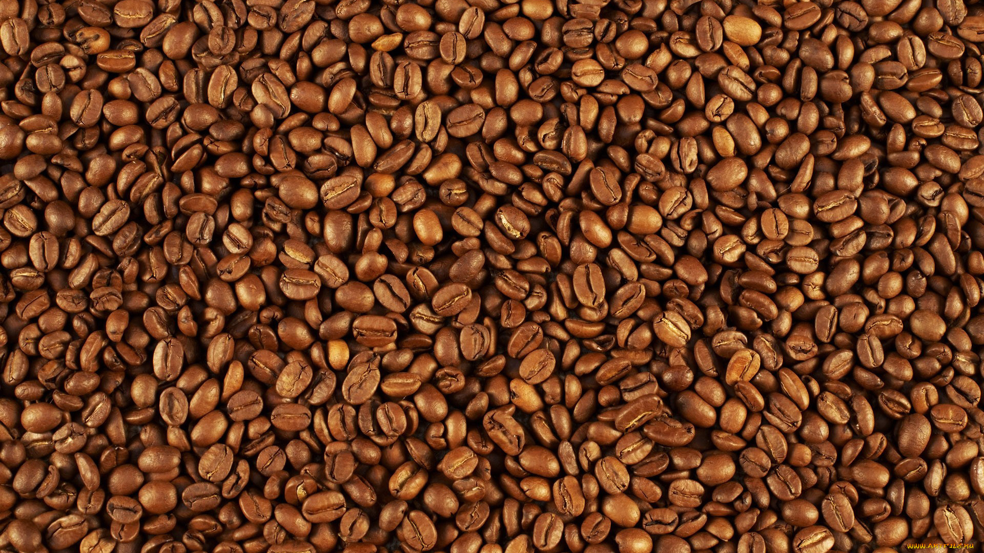 еда, кофе, , кофейные, зёрна, pattern, coffee, beans, зёрна, many