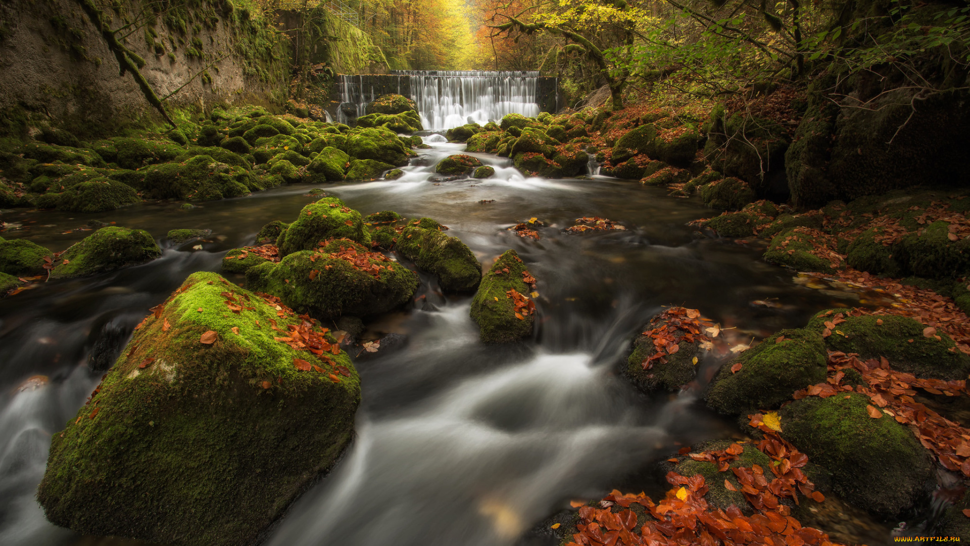 природа, водопады, ущелье, аройзе, switzerland, areuse, gorge, val-de-travers, осень, лес, мох, листья, швейцария, водопад, каскад, река, камни