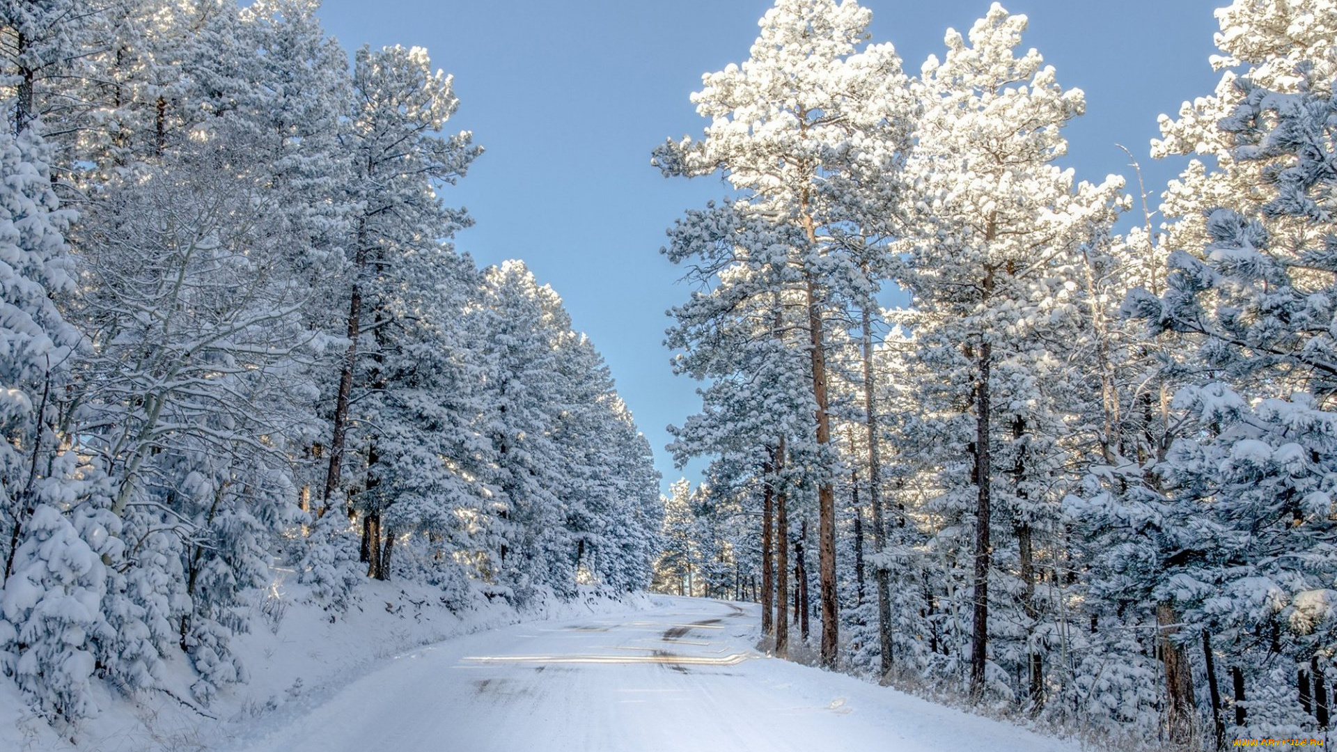 природа, зима, деревья, снег, дорога