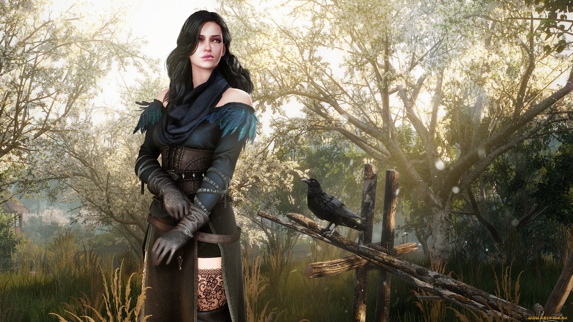 видео, игры, the, witcher, sorcerres, девушка, ведьмак, йеннифер, yennefer, женщина, female, girl, woman, фэнтези, fantasy, дикая, охота, wild, hunt, witcher, сад, dress, наряд, attire, пустельга, kestrel, ворон, платье, garden, чародейка, crow