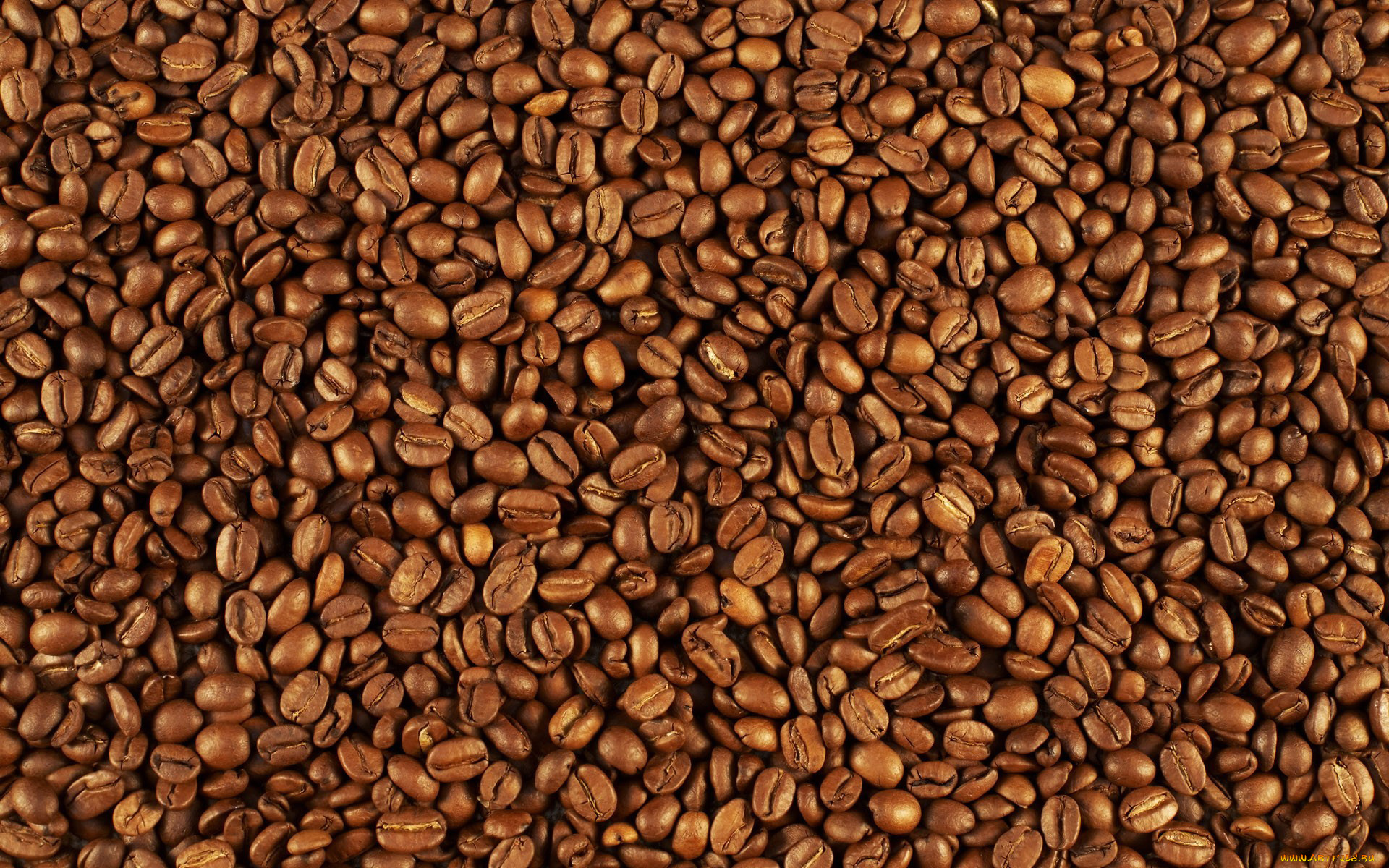 еда, кофе, , кофейные, зёрна, pattern, coffee, beans, зёрна, many