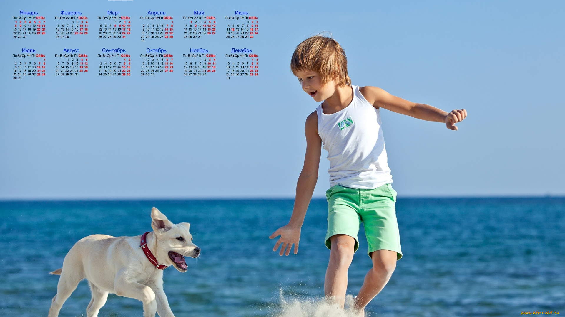 календари, дети, мальчик, море, собака, песок