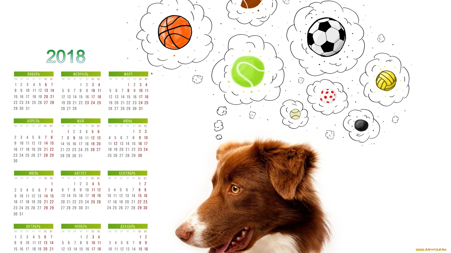 календари, животные, взгляд, морда, собака