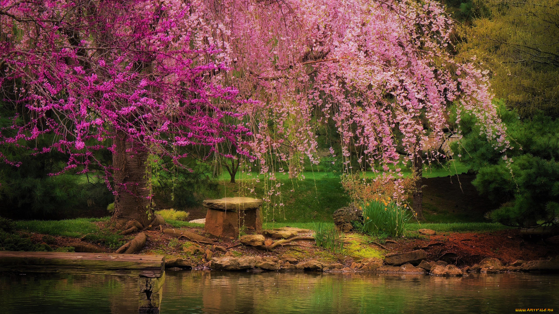 природа, парк, весна, дерево, пруд, скамейка