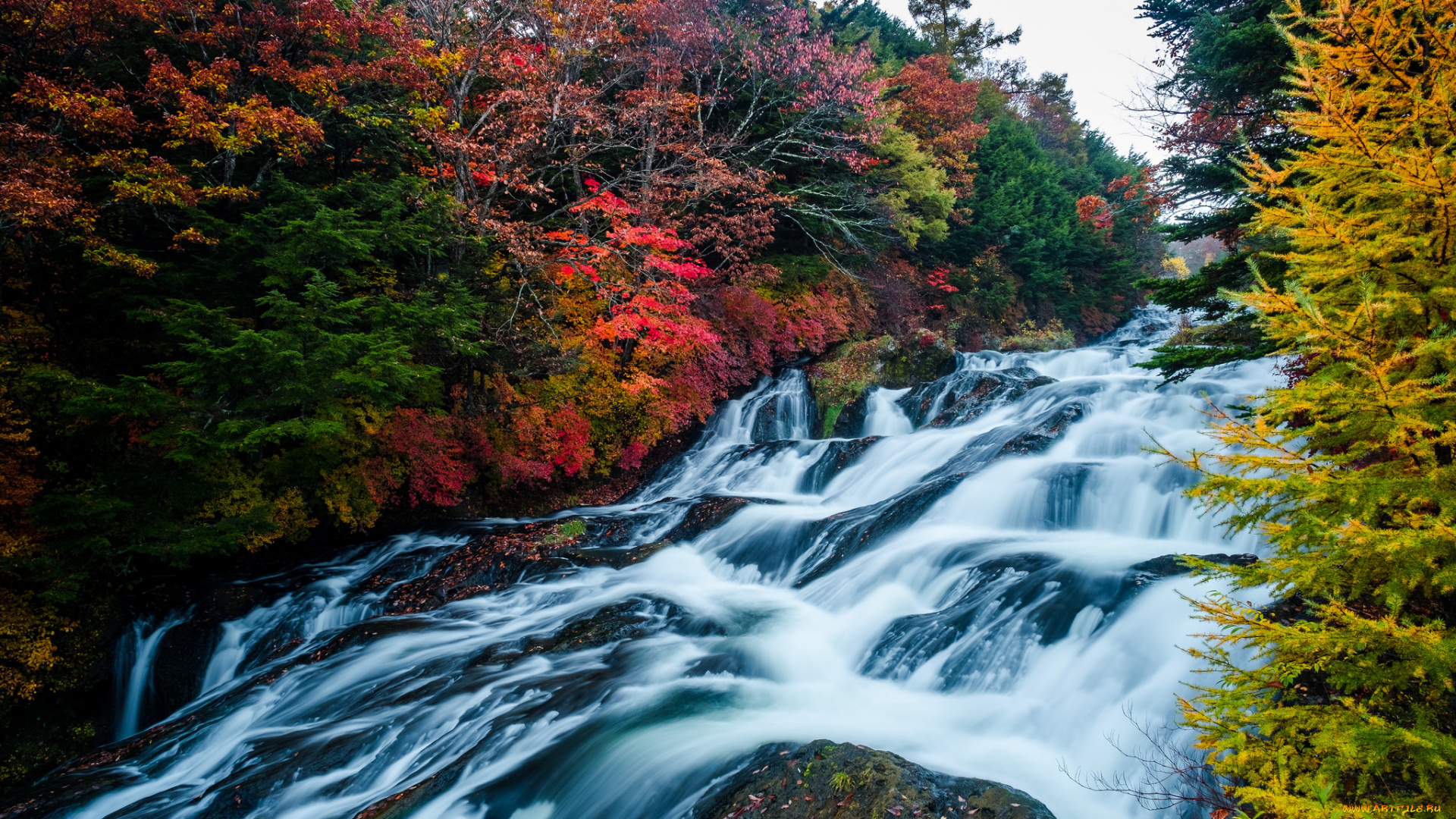 природа, водопады, осень, водопад, деревья, лес