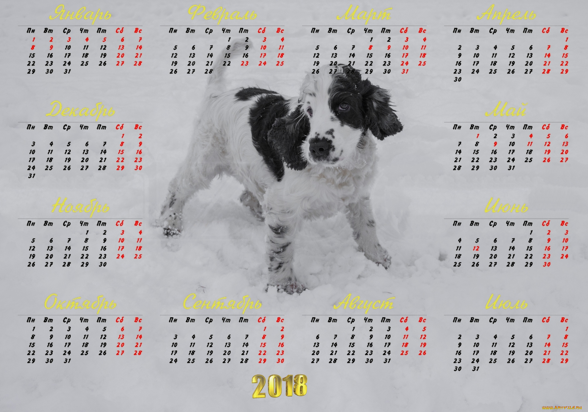 календари, животные, взгляд, собака