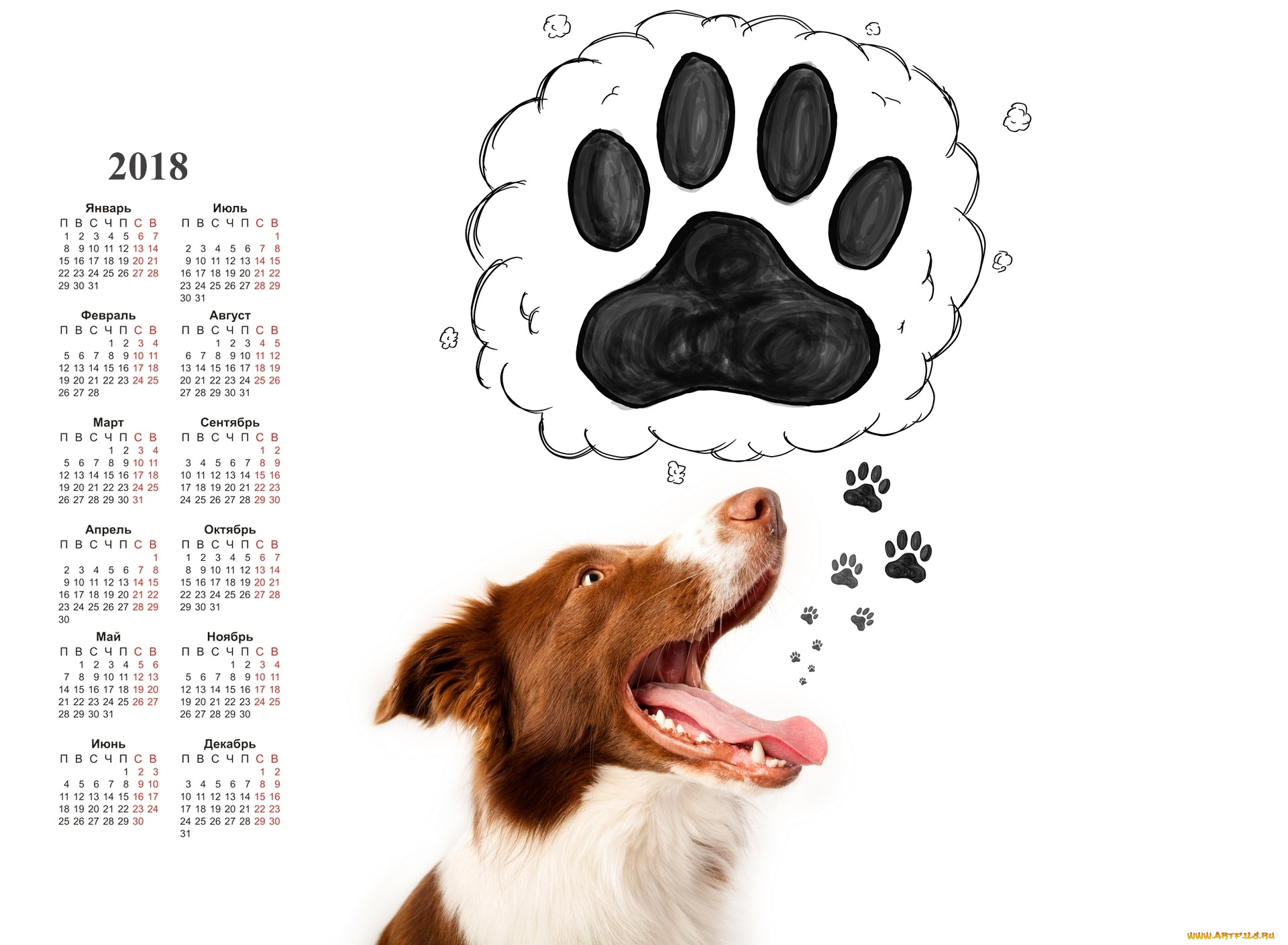 календари, животные, собака, морда