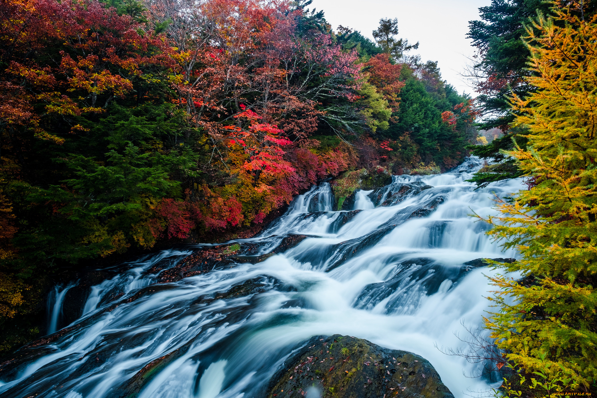 природа, водопады, осень, водопад, деревья, лес