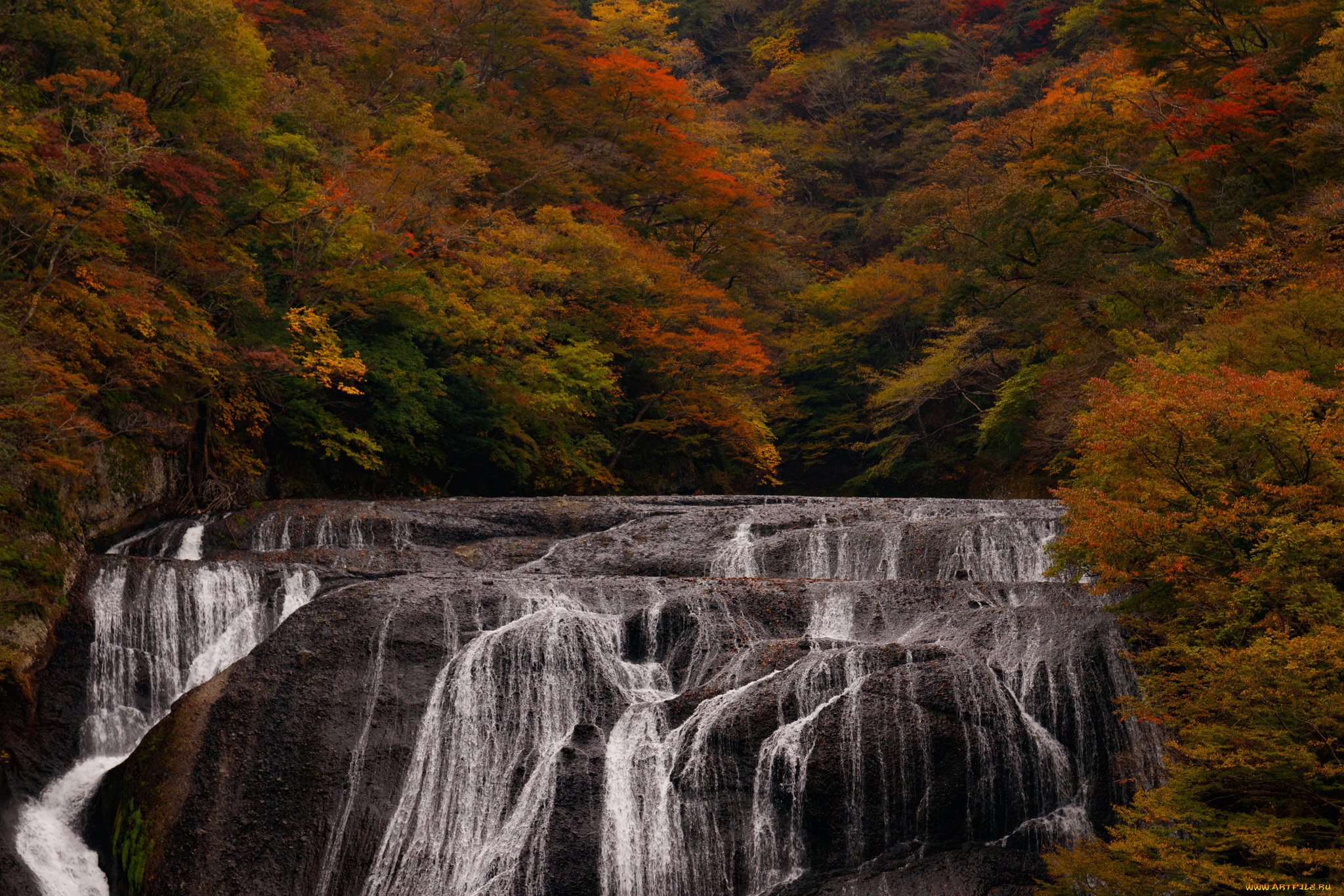 природа, водопады, поток, водопад, пейзаж, осень, деревья