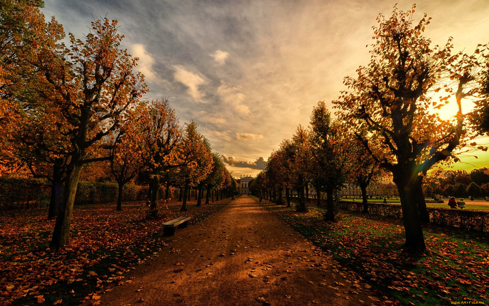 природа, парк, осень, аллея, деревья, дорога