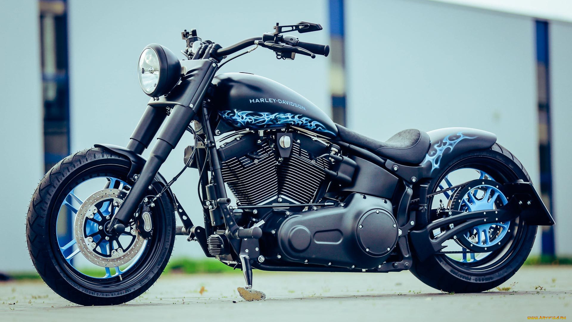 harley, мотоциклы, harley-davidson, мотоцикл, байк