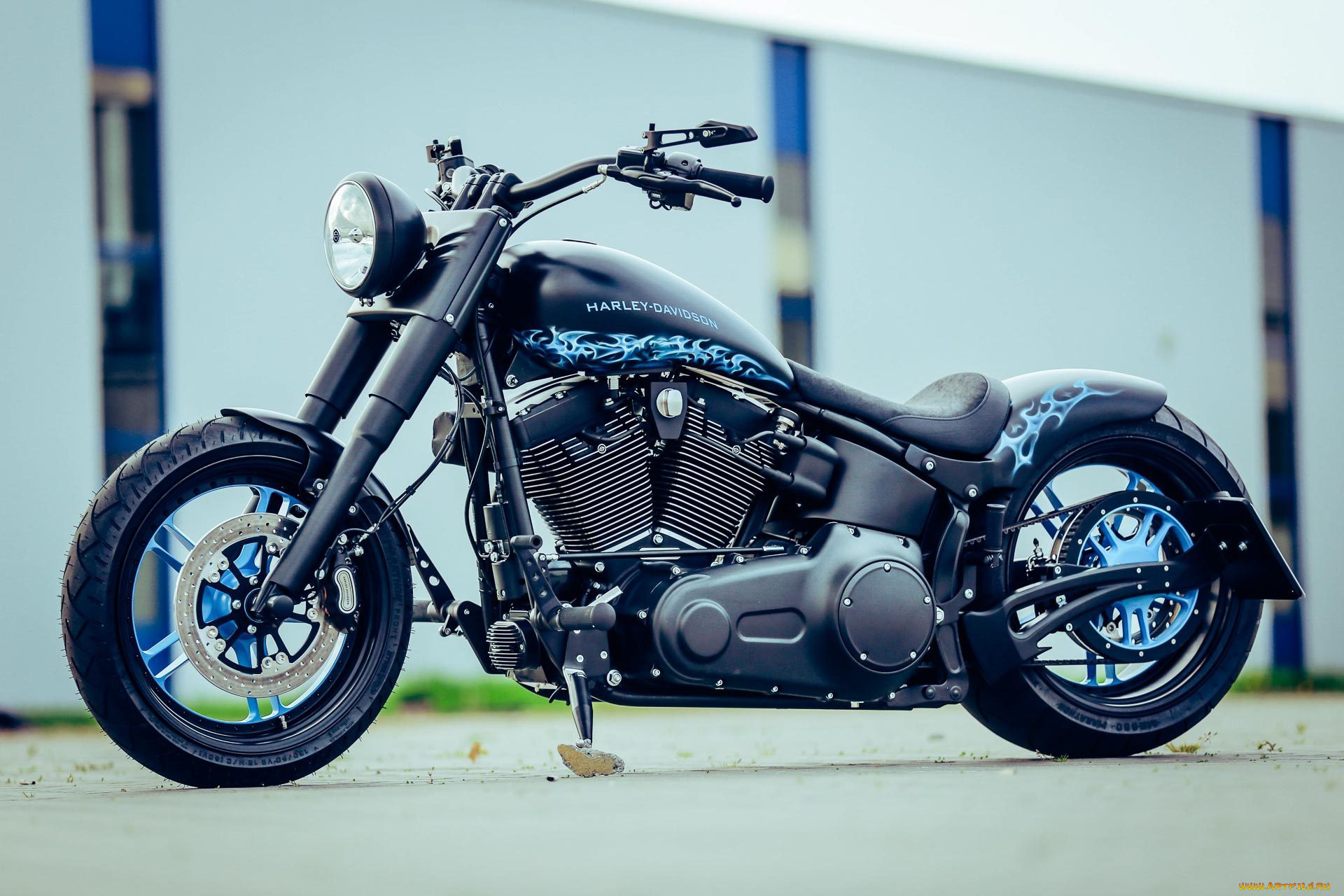 harley, мотоциклы, harley-davidson, мотоцикл, байк